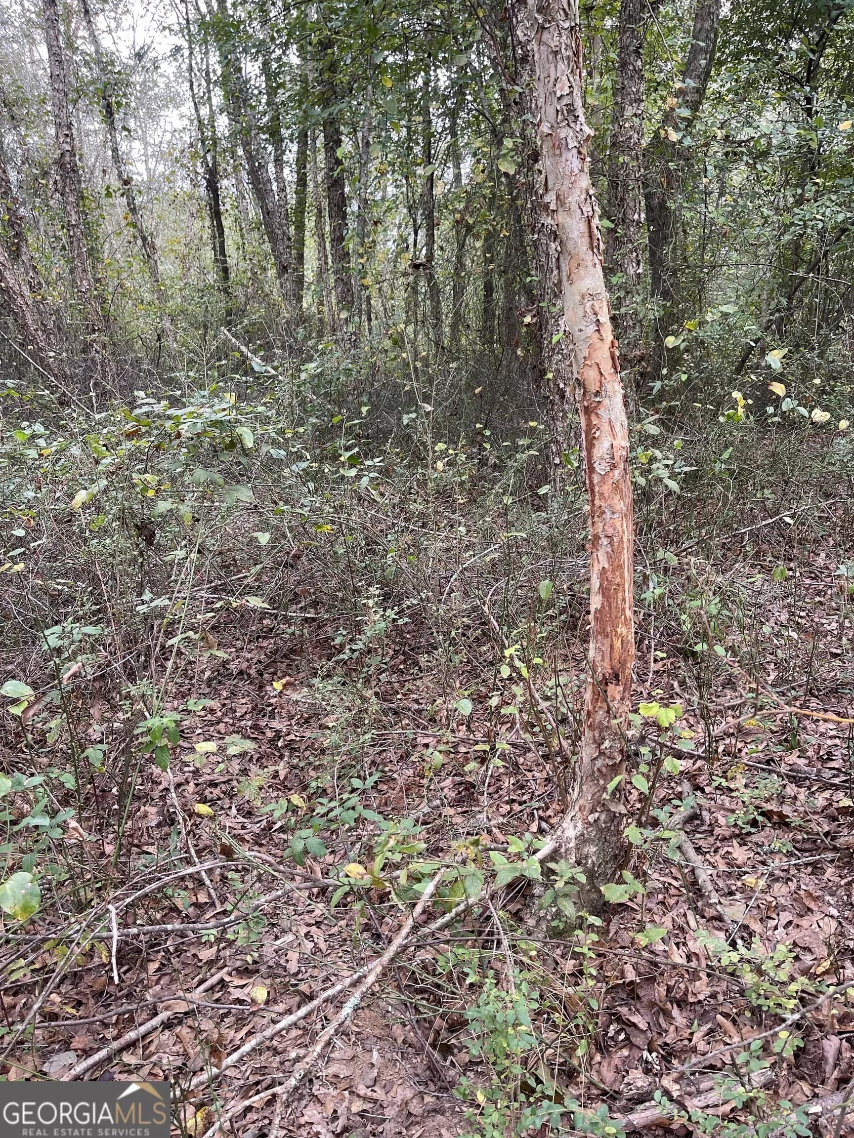 0 Buffalo Creek Rd — photo 16 of 49
