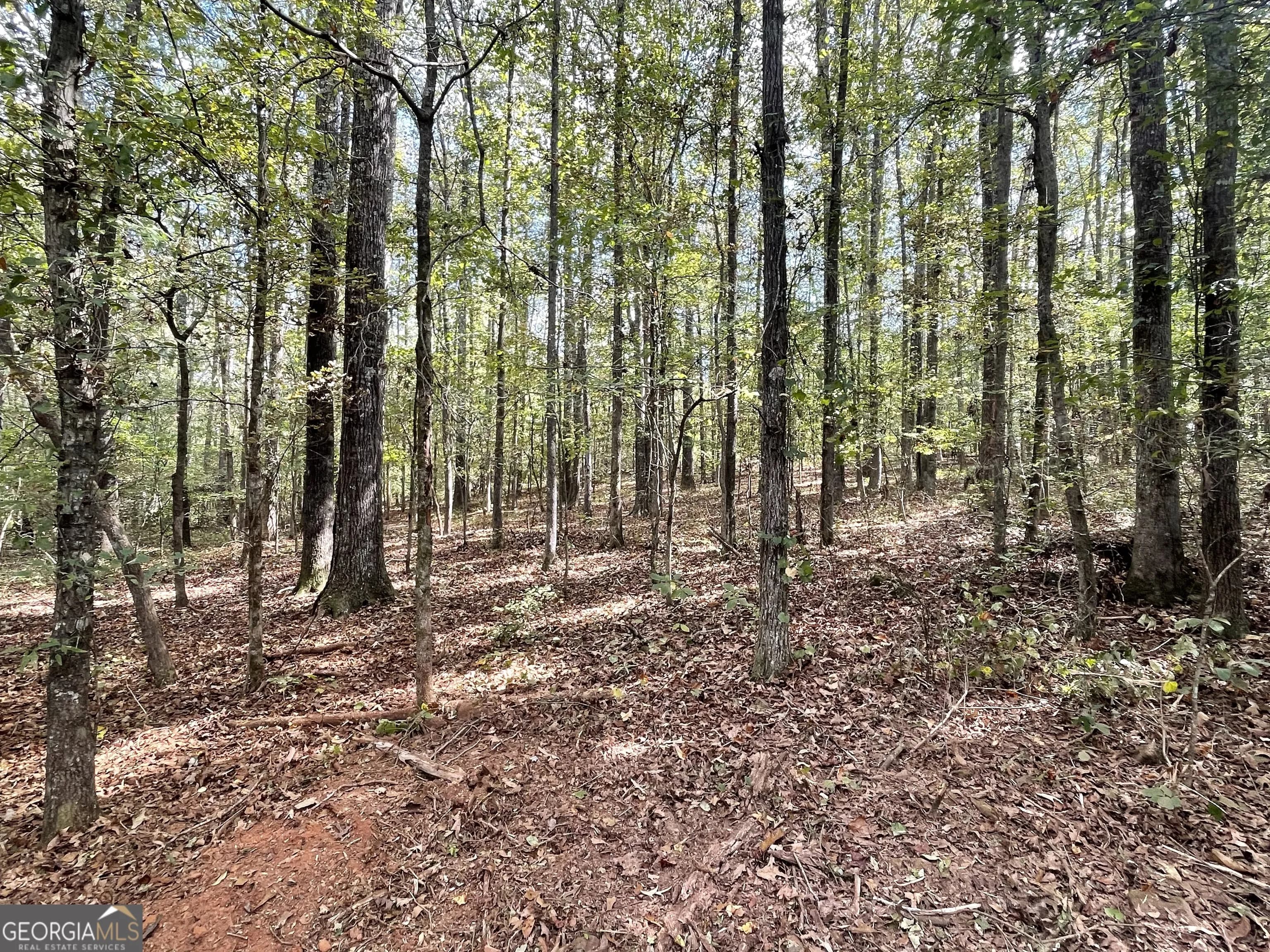0 Buffalo Creek Rd — photo 10 of 49