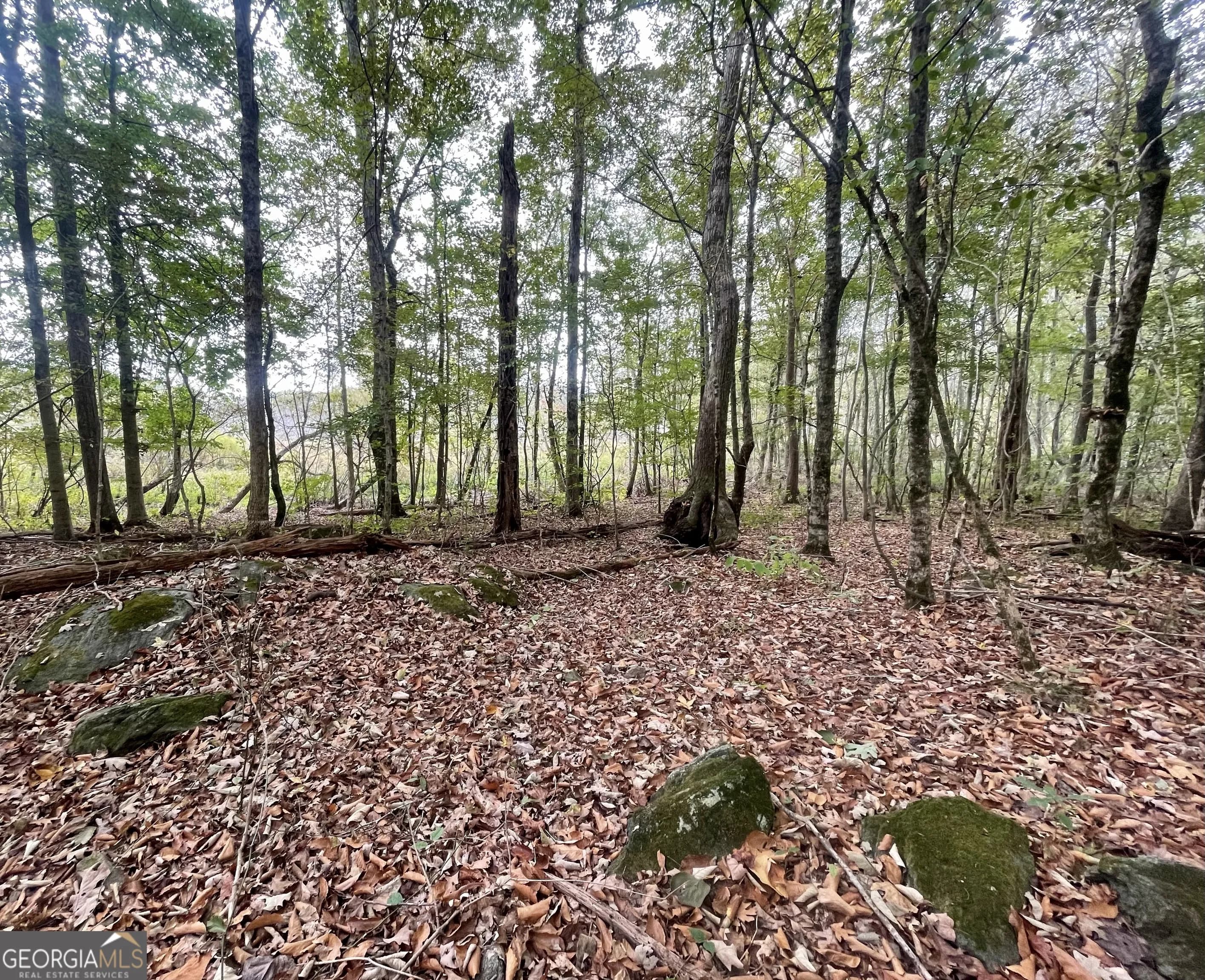0 Buffalo Creek Rd — photo 20 of 49