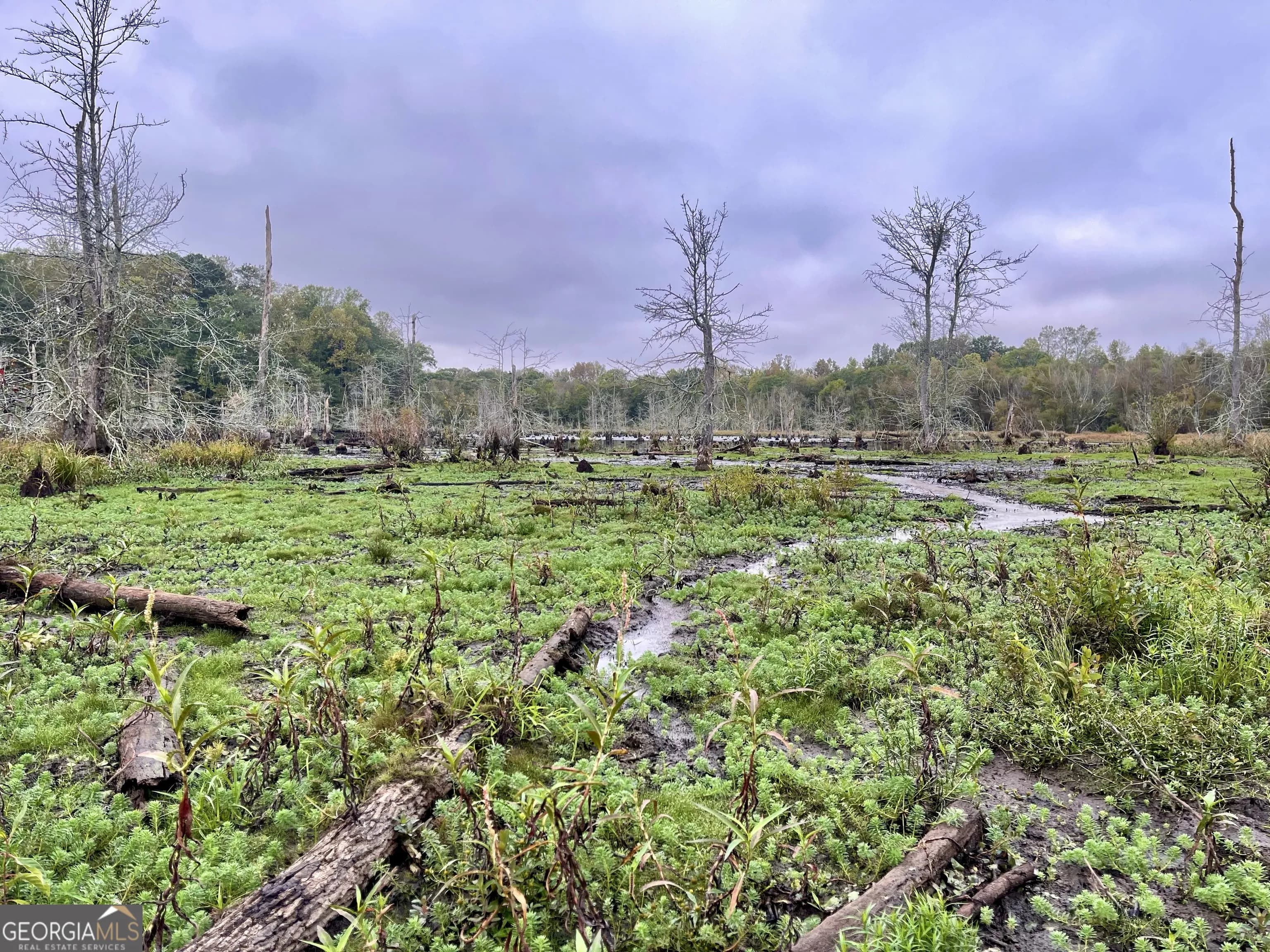 0 Buffalo Creek Rd — photo 32 of 49