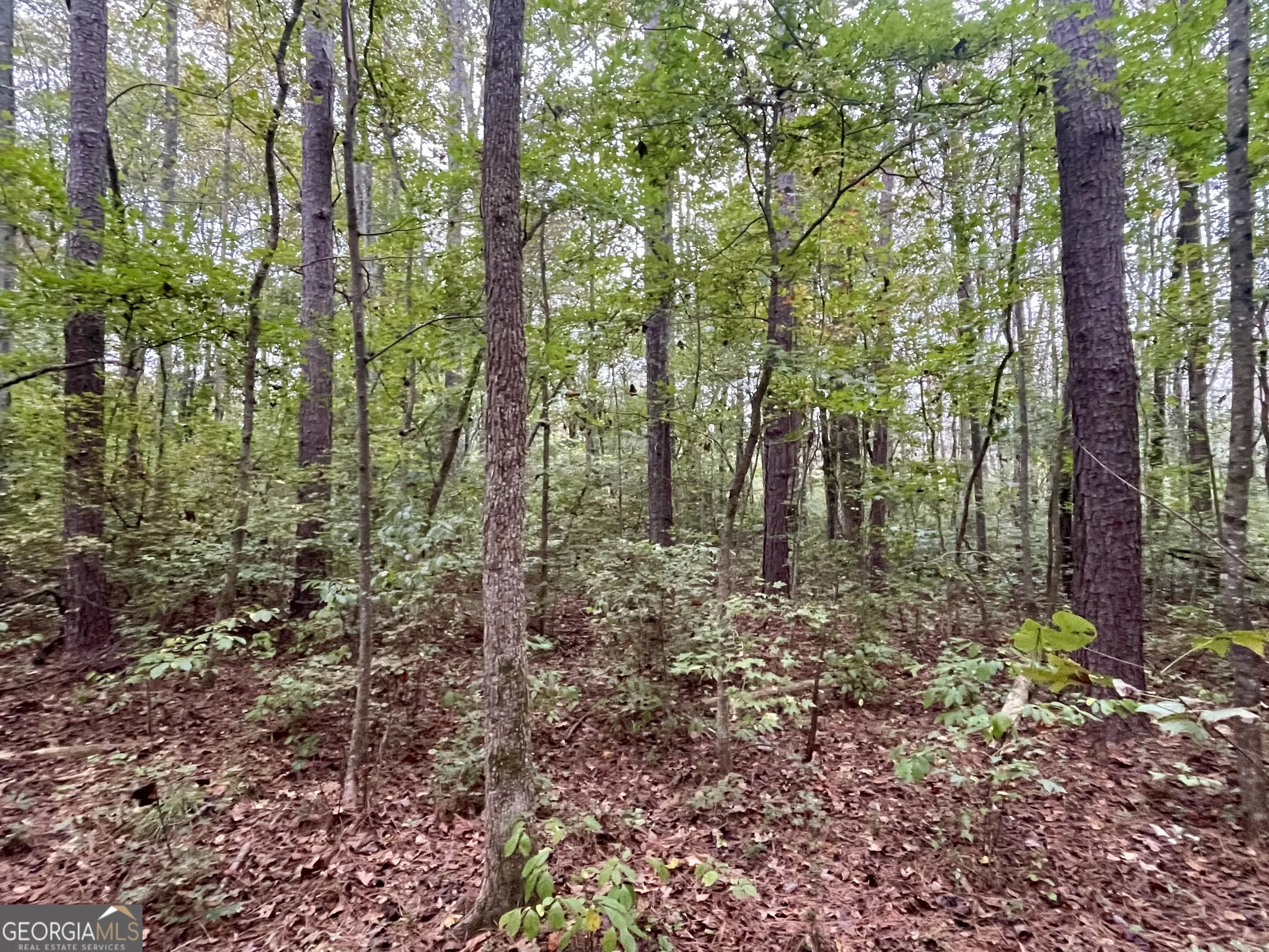 0 Buffalo Creek Rd — photo 28 of 49