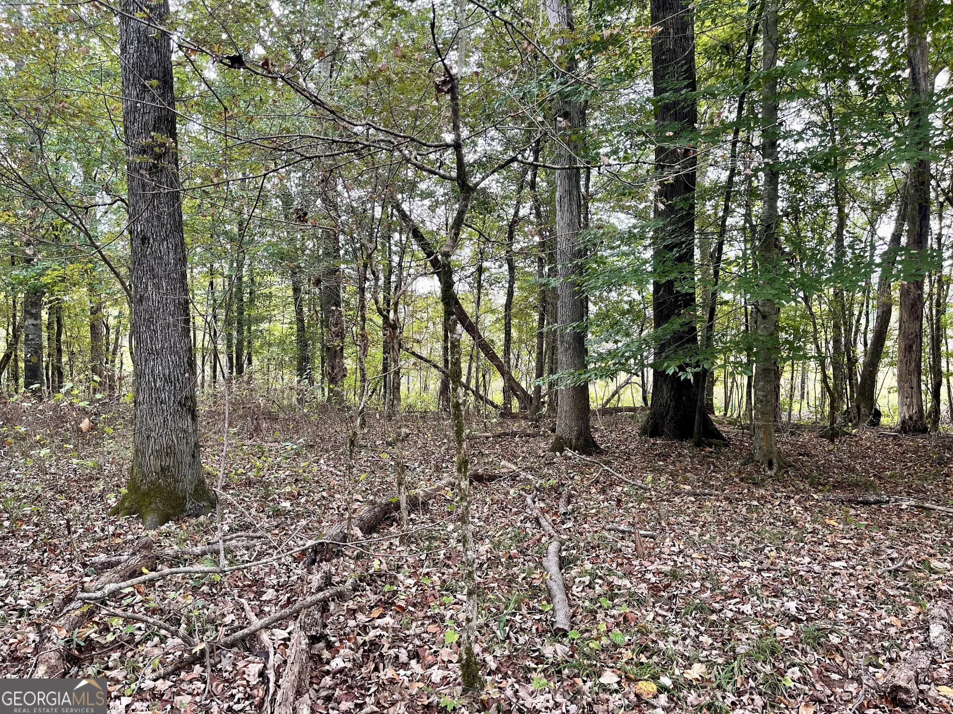 0 Buffalo Creek Rd — photo 19 of 49