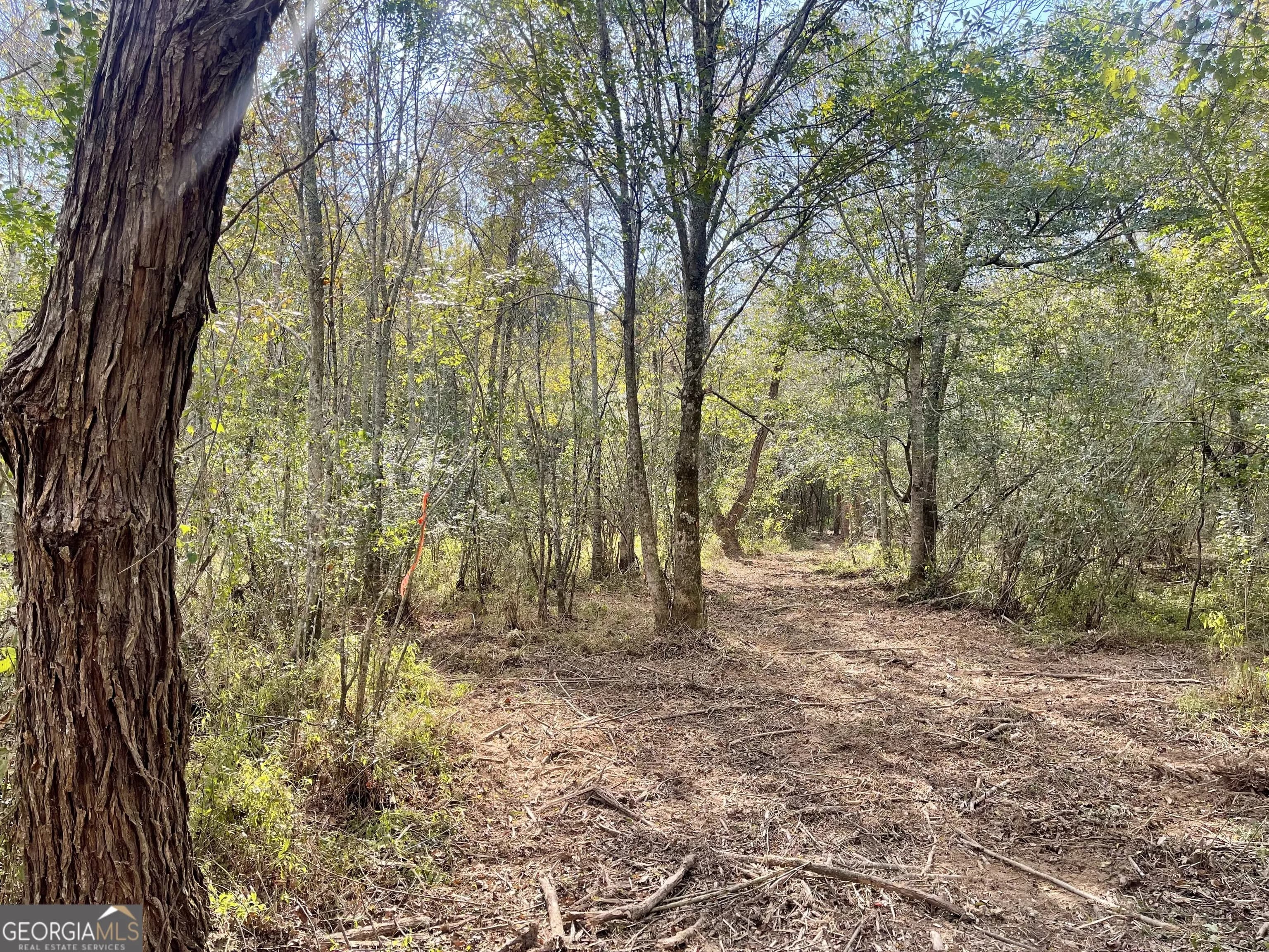 0 Buffalo Creek Rd — photo 24 of 49
