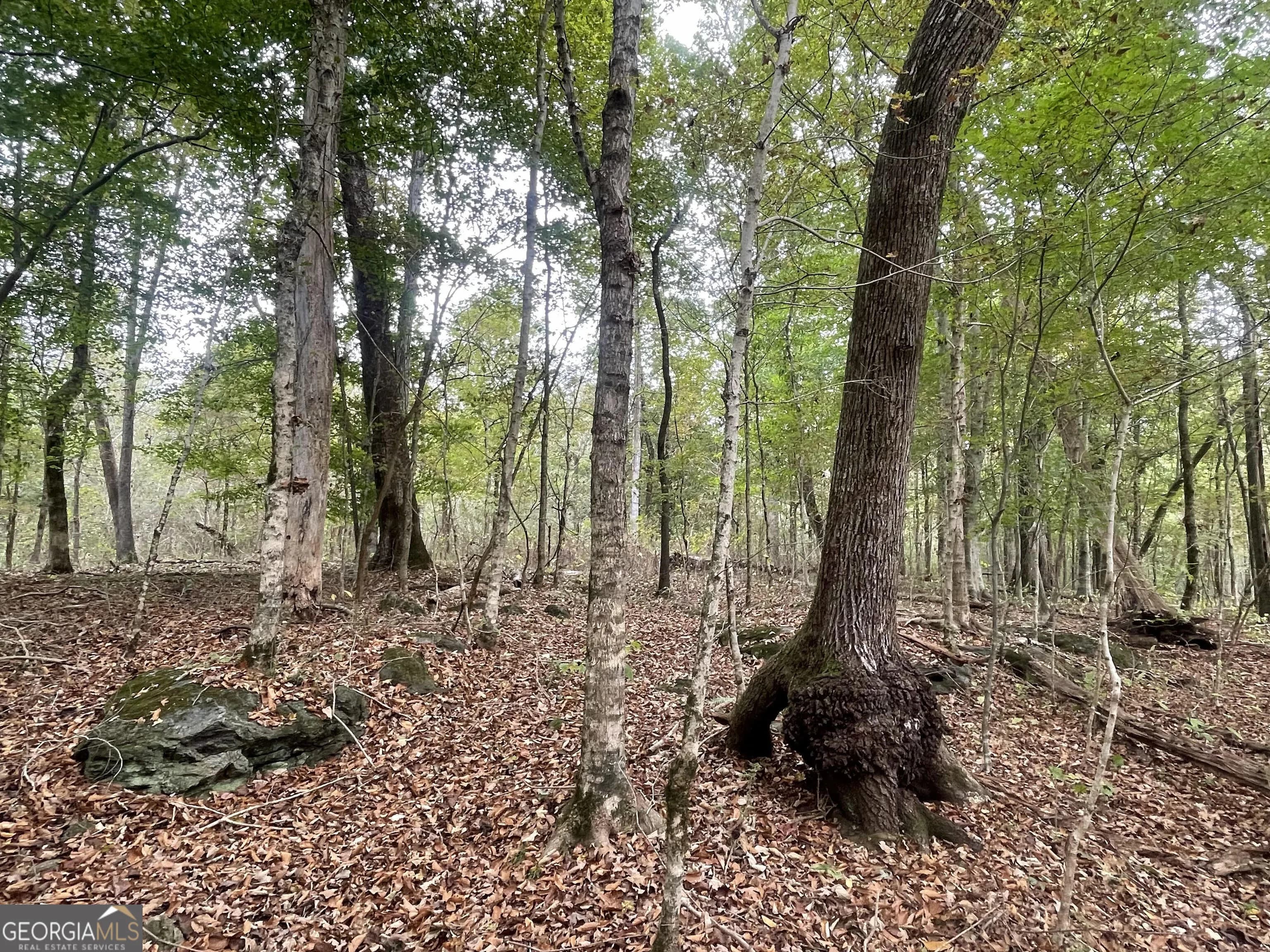 0 Buffalo Creek Rd — photo 26 of 49
