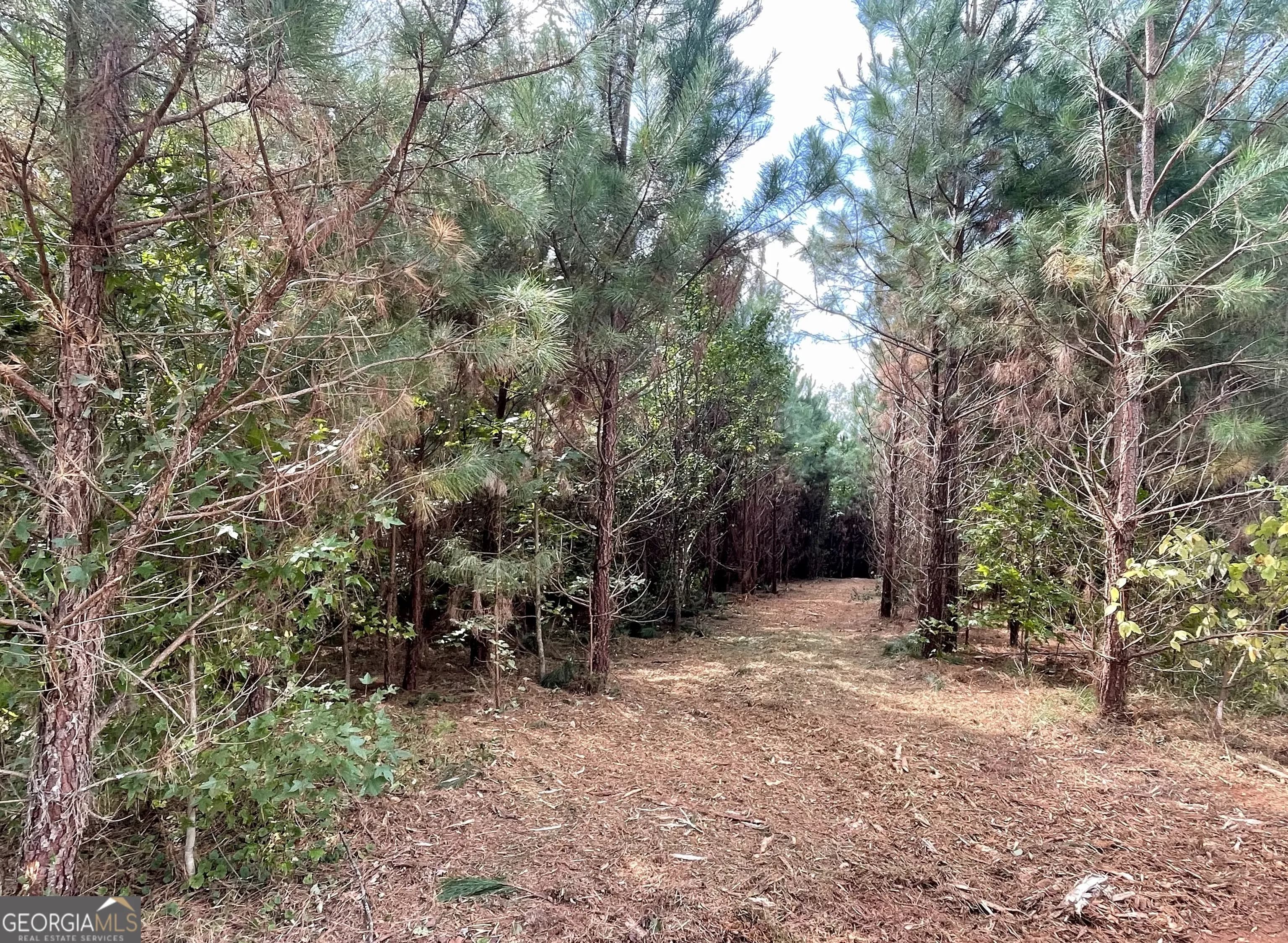 0 Buffalo Creek Rd — photo 6 of 49