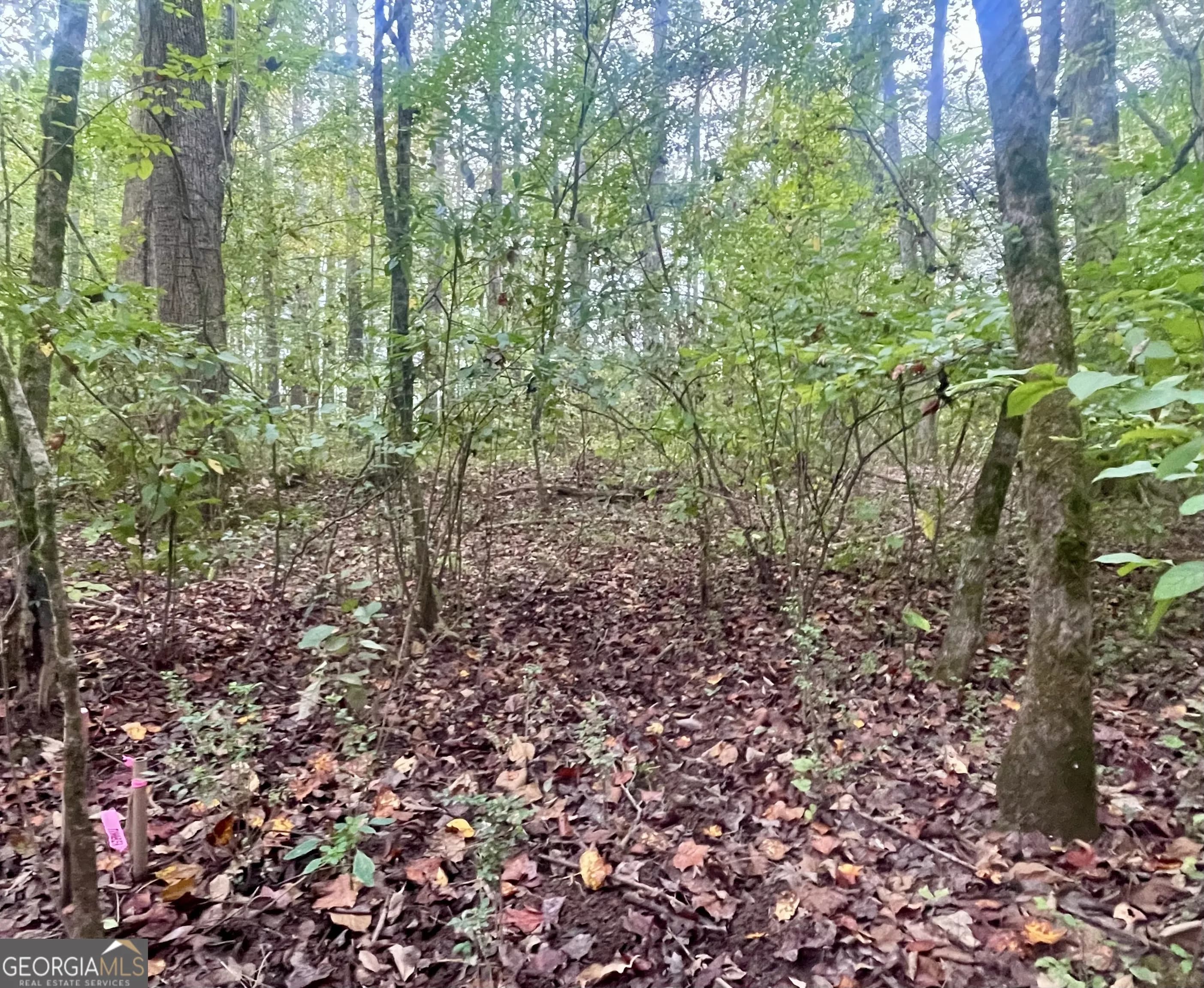 0 Buffalo Creek Rd — photo 29 of 49