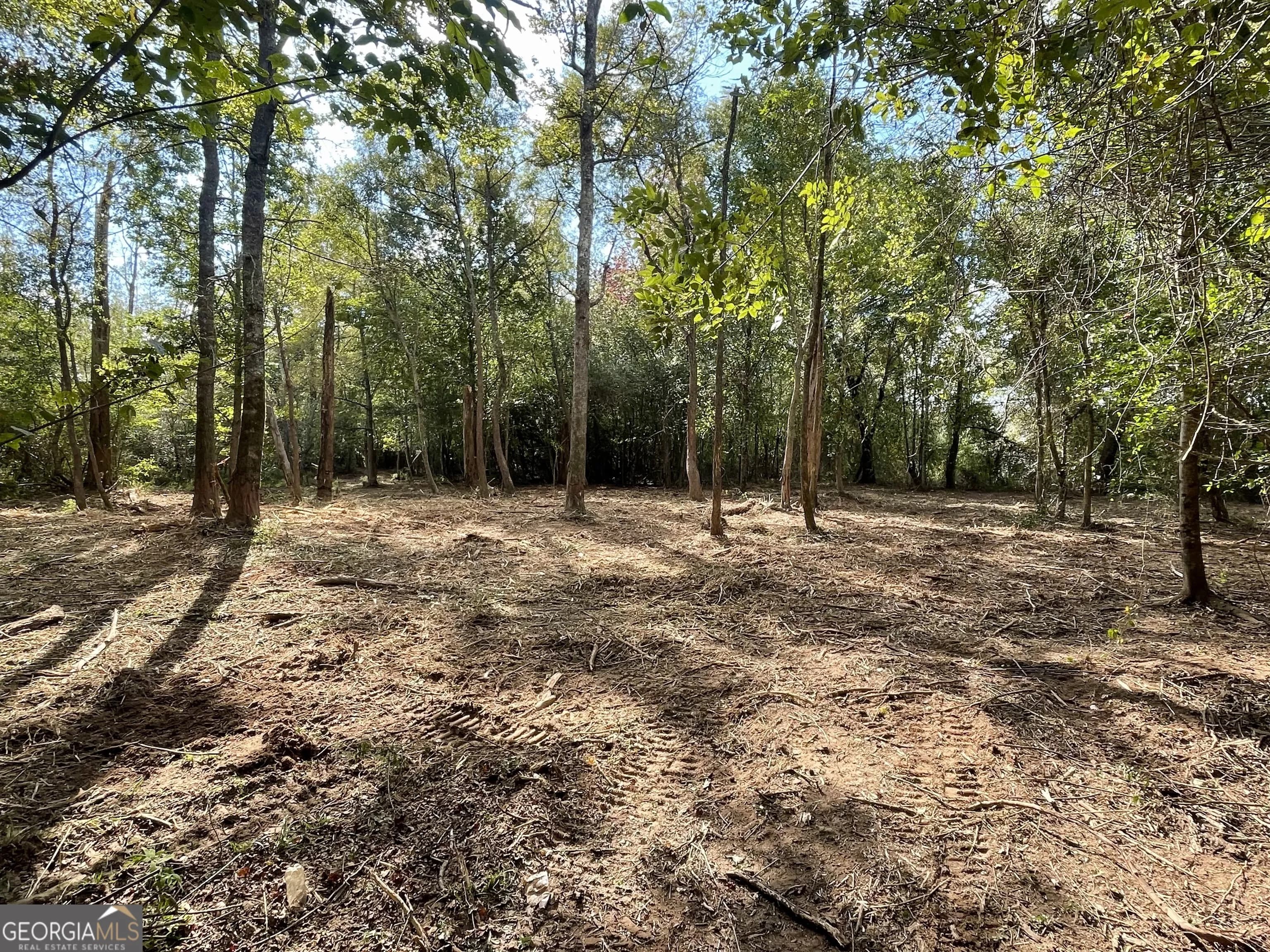 0 Buffalo Creek Rd — photo 13 of 49