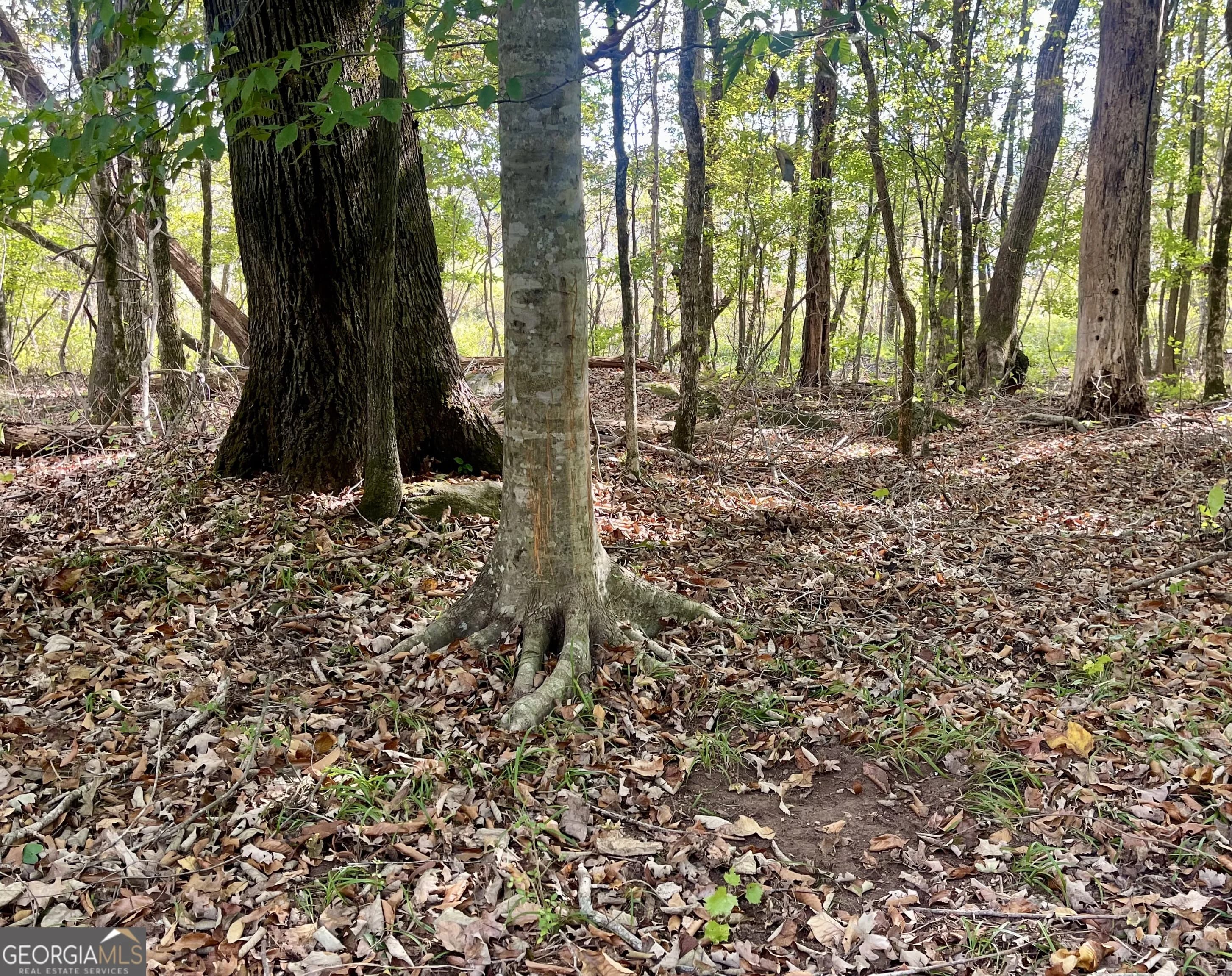 0 Buffalo Creek Rd — photo 49 of 49