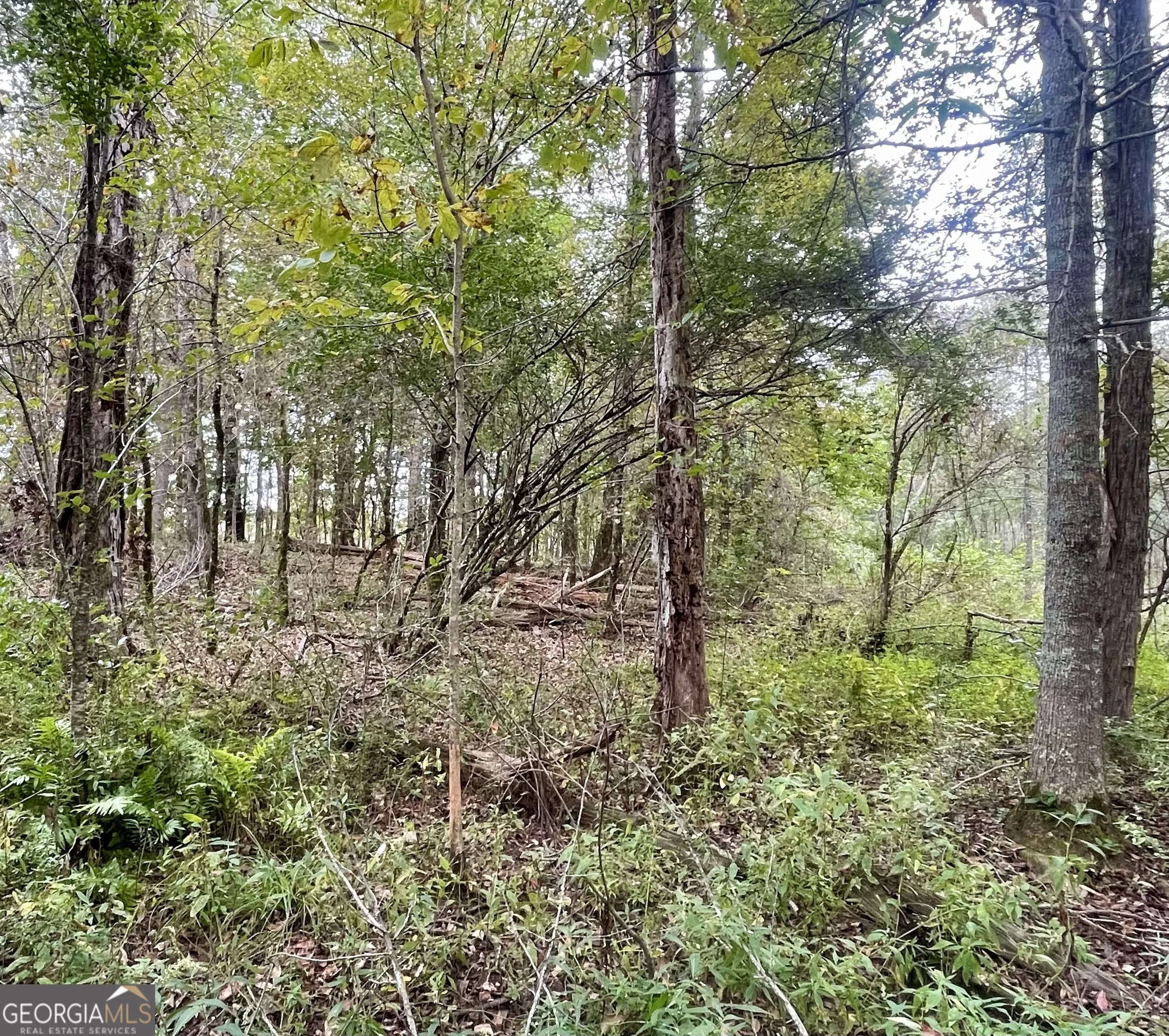 0 Buffalo Creek Rd — photo 17 of 49