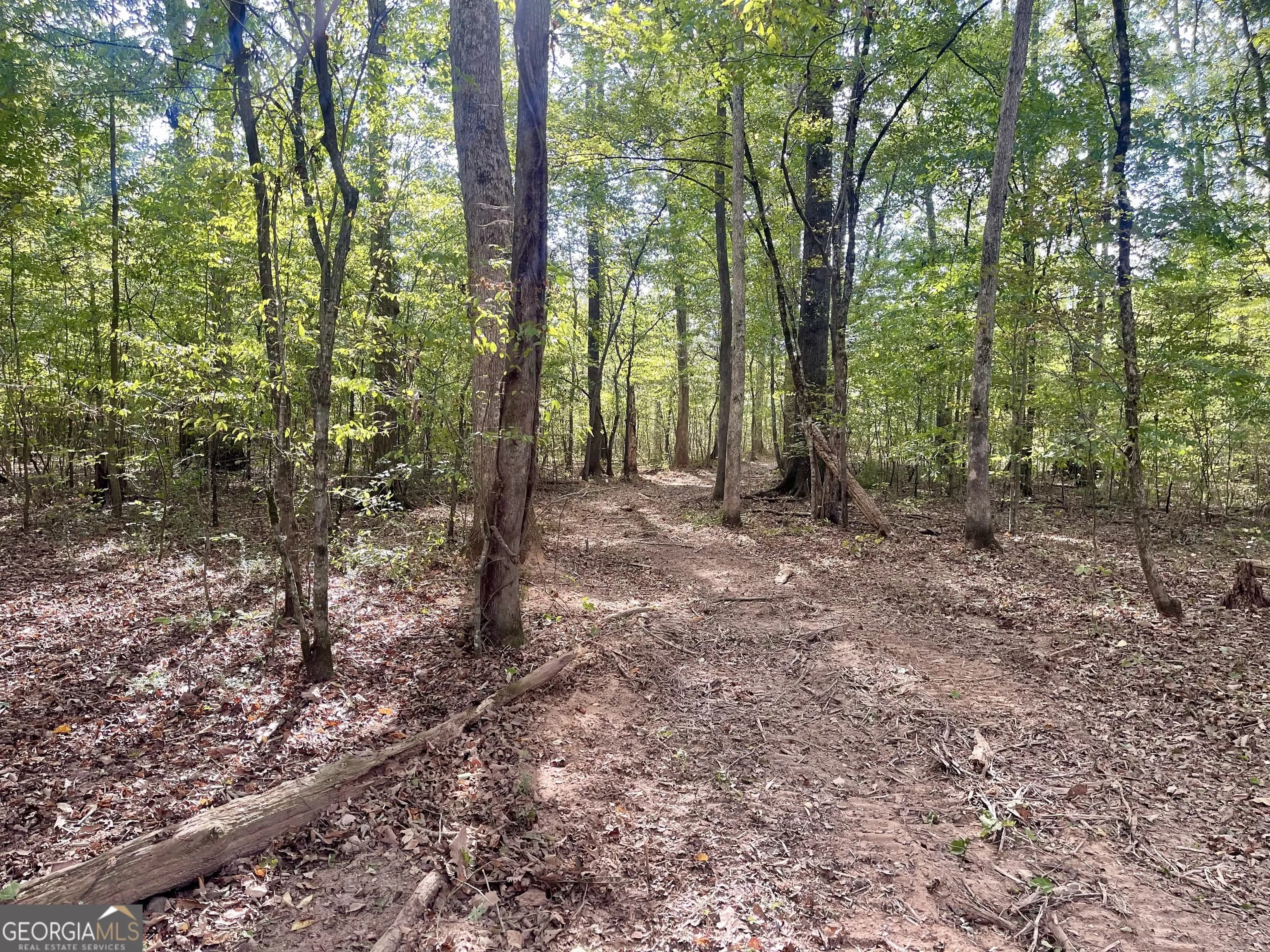 0 Buffalo Creek Rd — photo 12 of 49