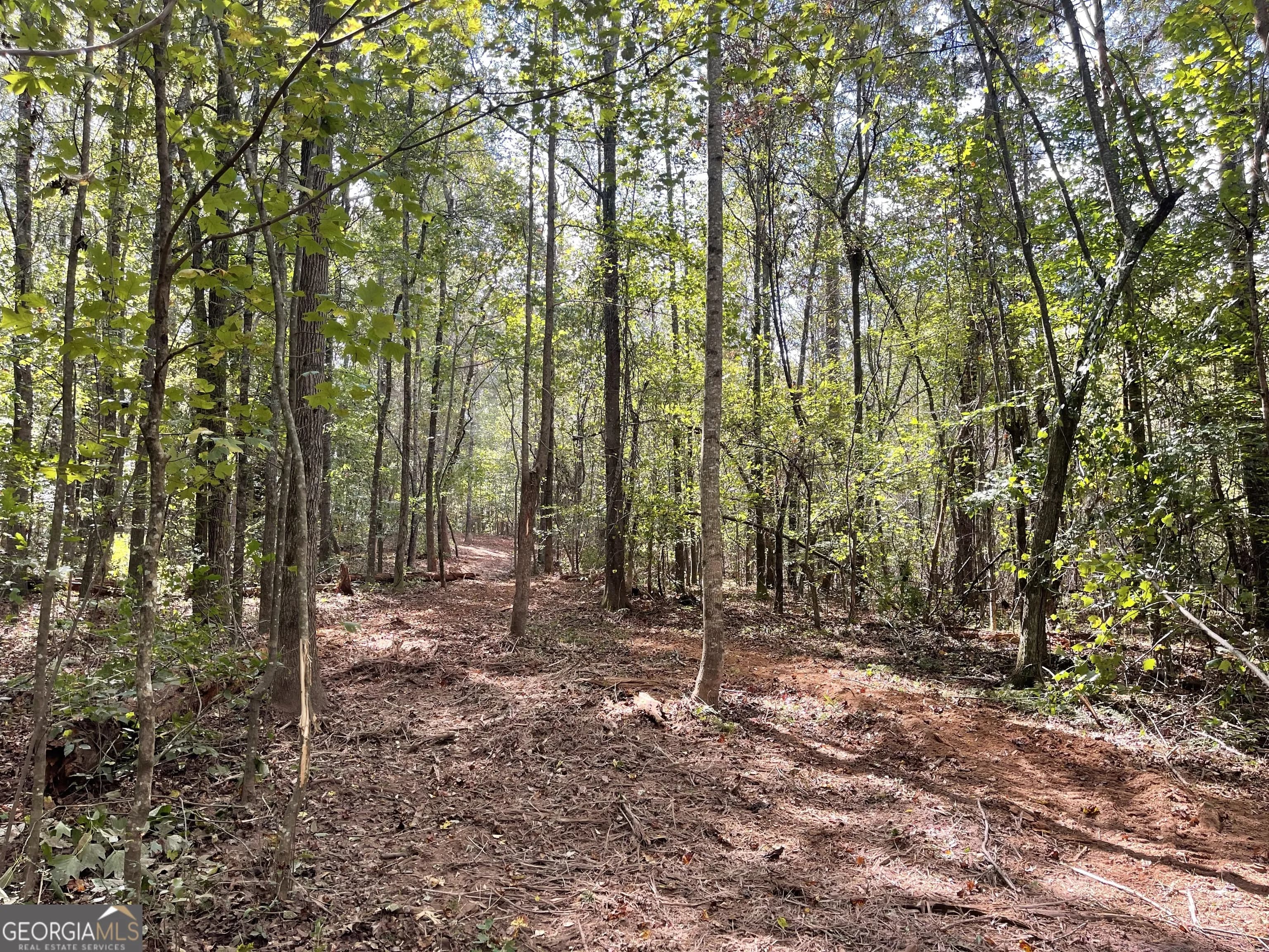 0 Buffalo Creek Rd — photo 9 of 49
