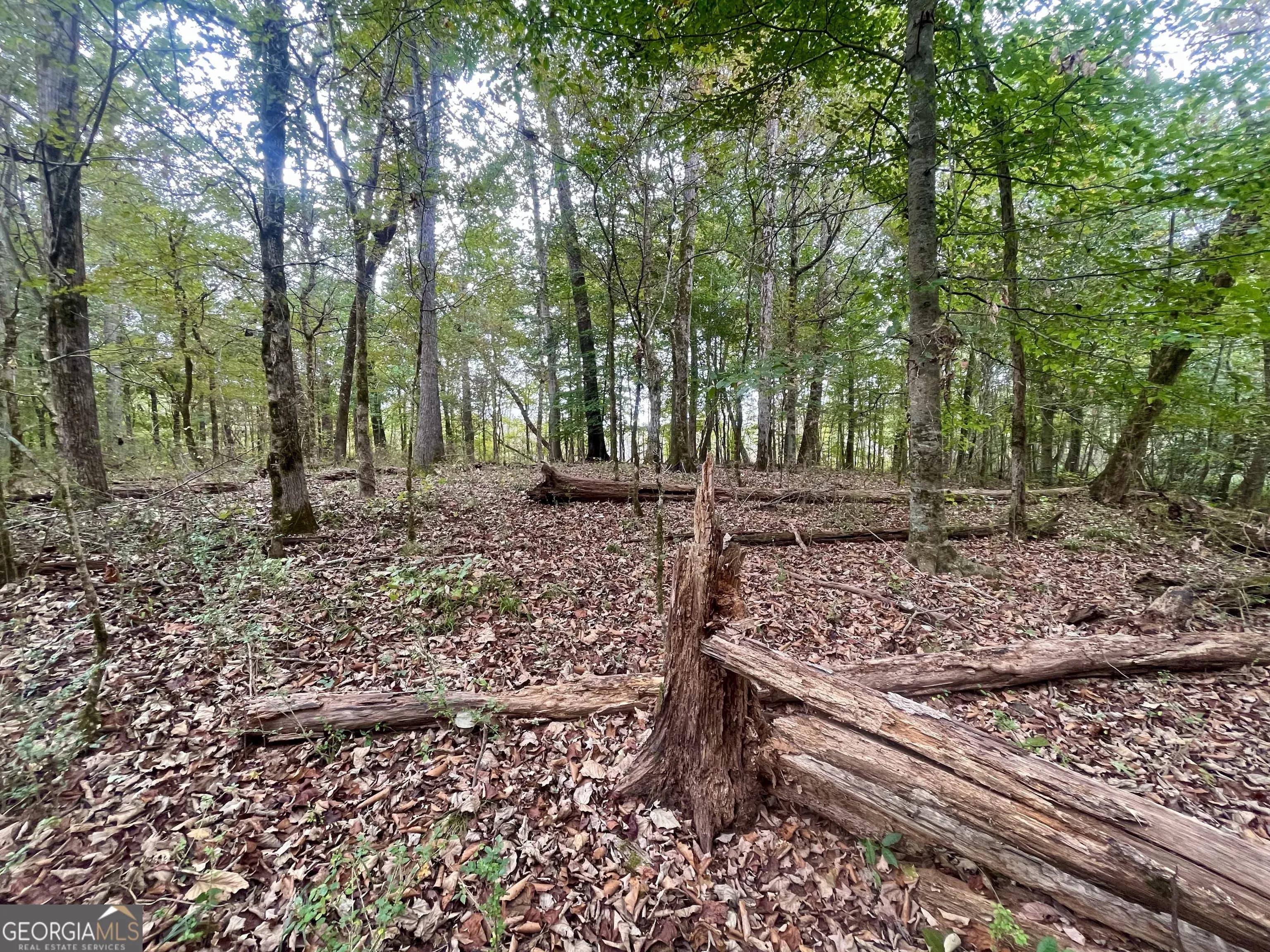 0 Buffalo Creek Rd — photo 18 of 49