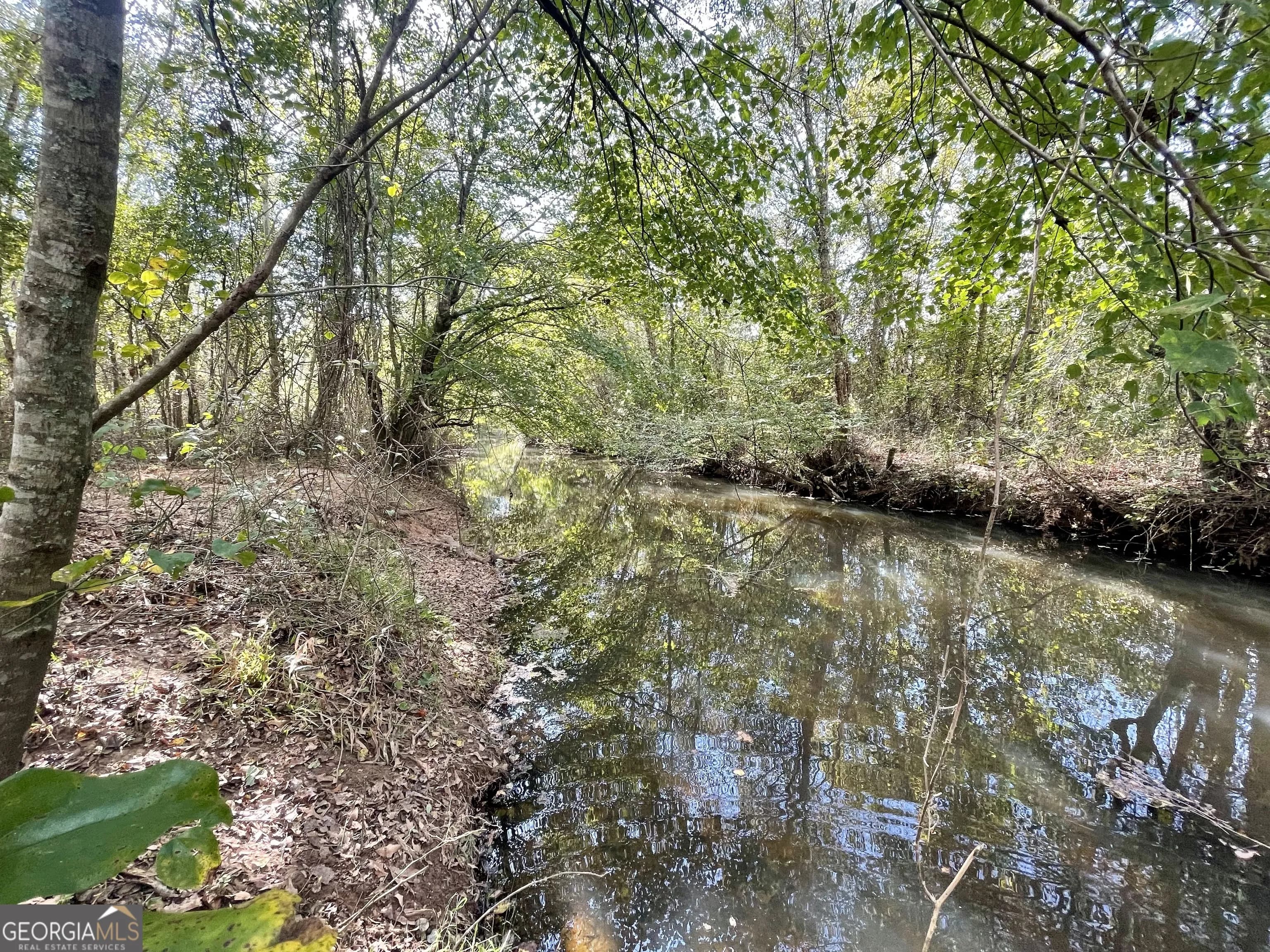 0 Buffalo Creek Rd — photo 46 of 49