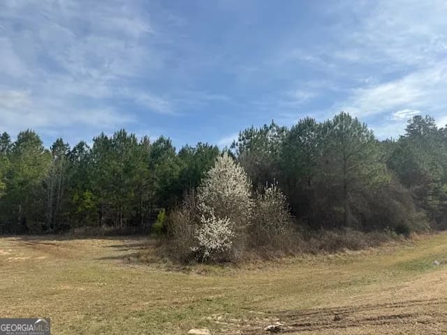 39 Brush Creek Park Rd — photo 3 of 4