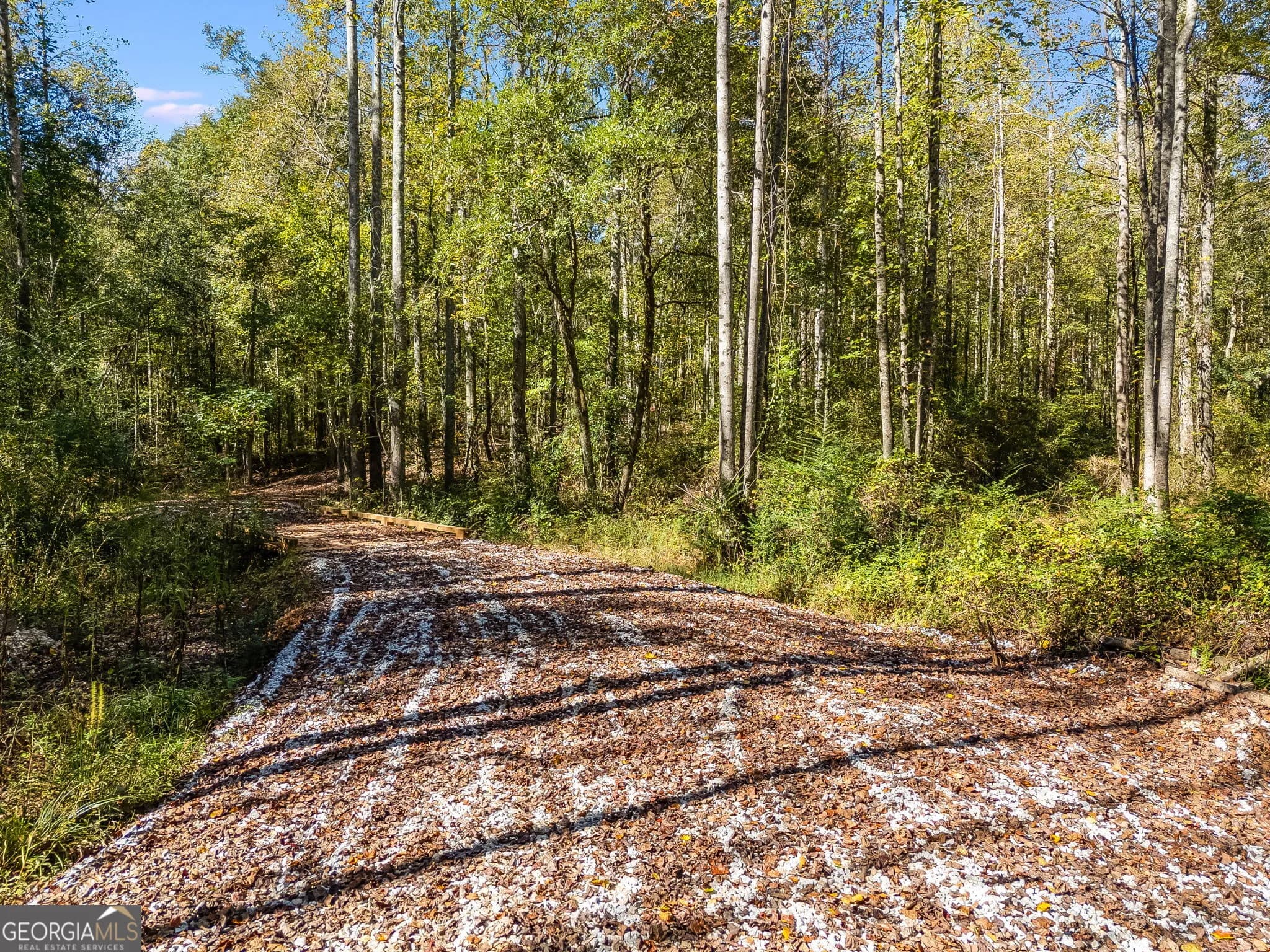 0 Hog Liver Rd — photo 2 of 10