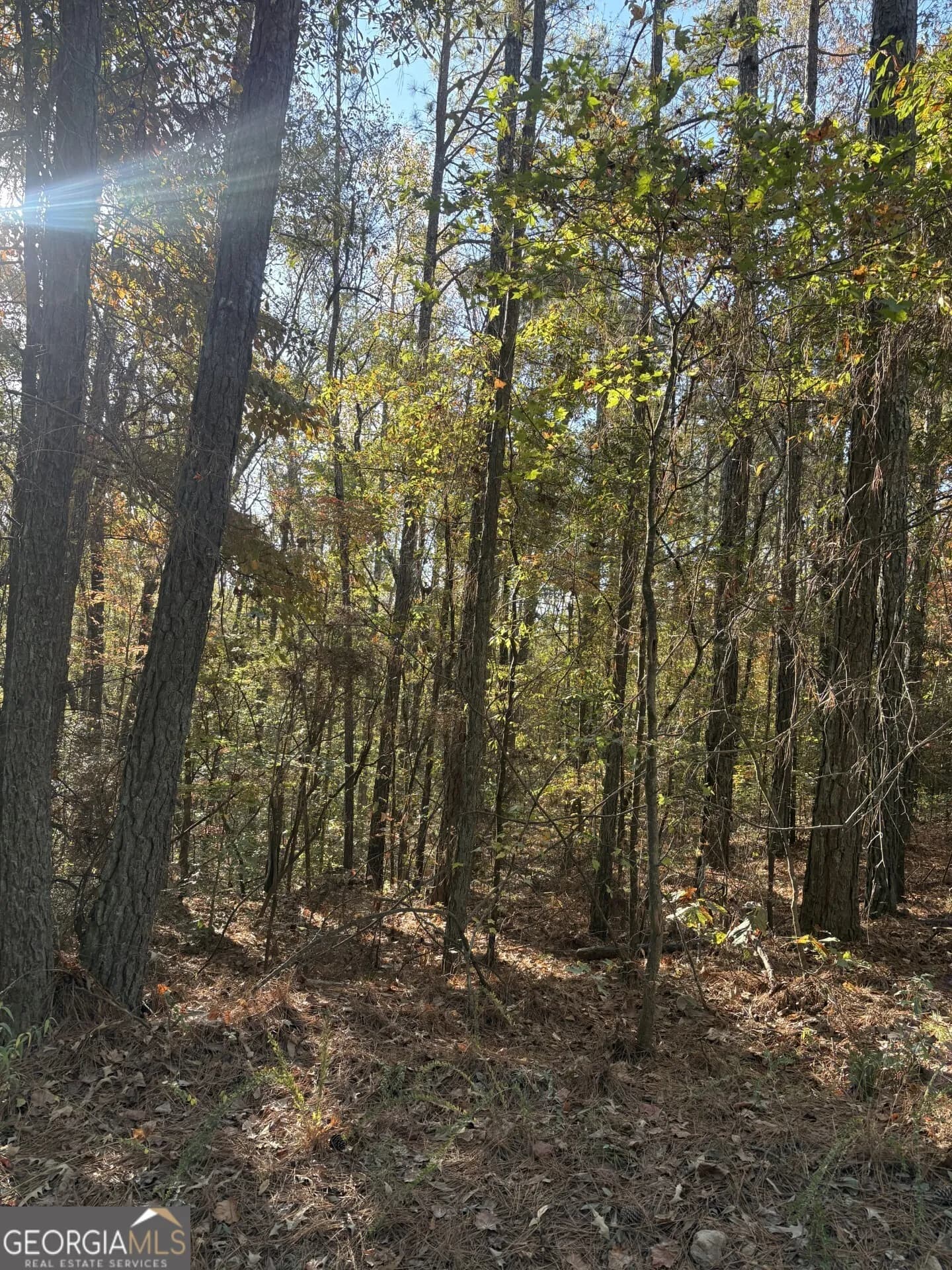 8839 Watkins Mill Rd — photo 3 of 7