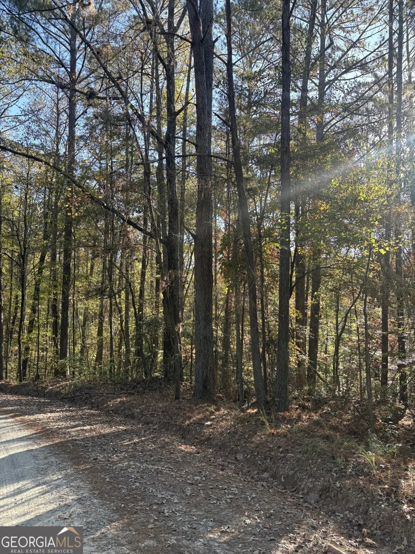 8839 Watkins Mill Rd — photo 5 of 7