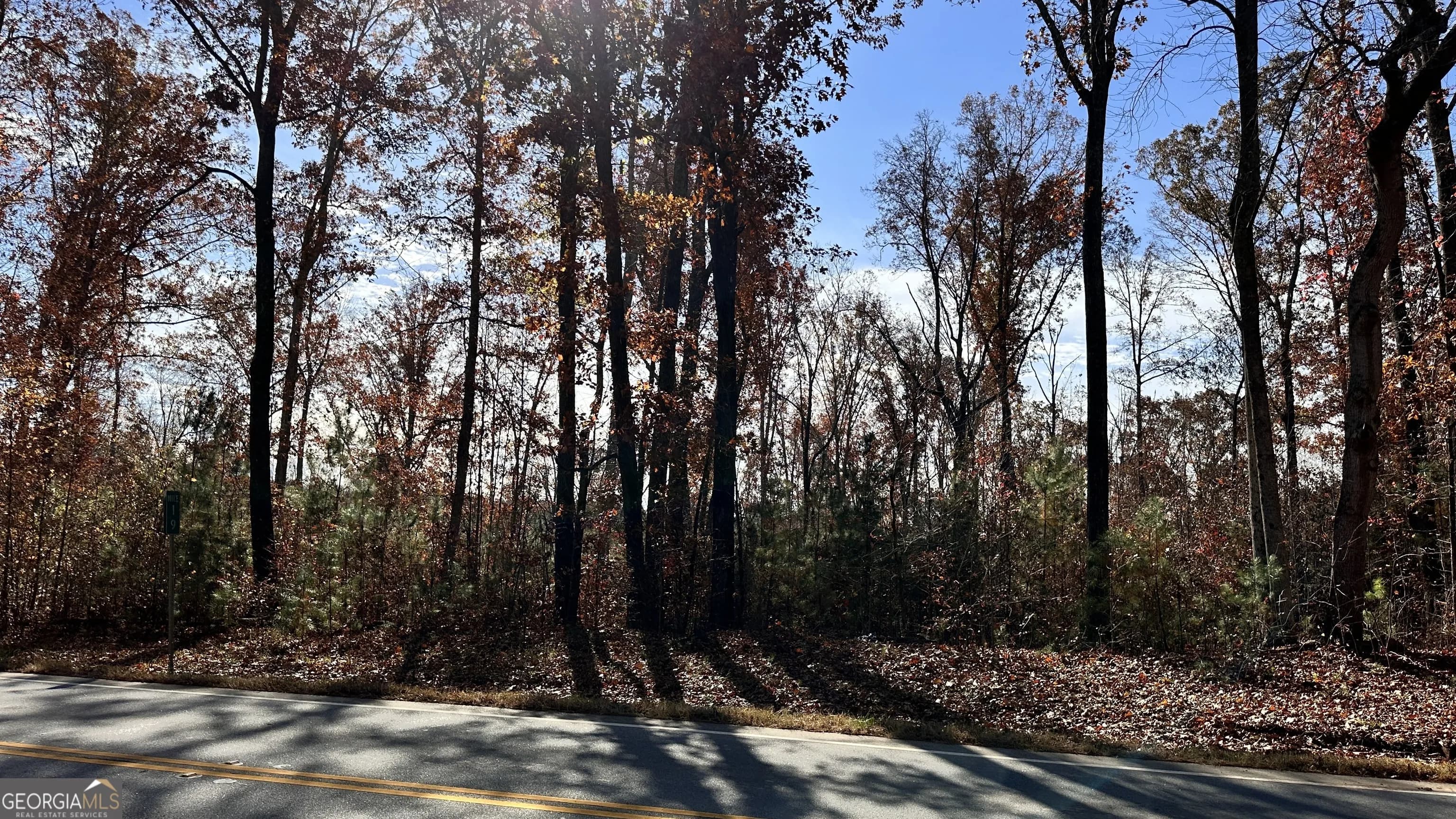 43 Acres Ivey Springs — photo 2 of 3
