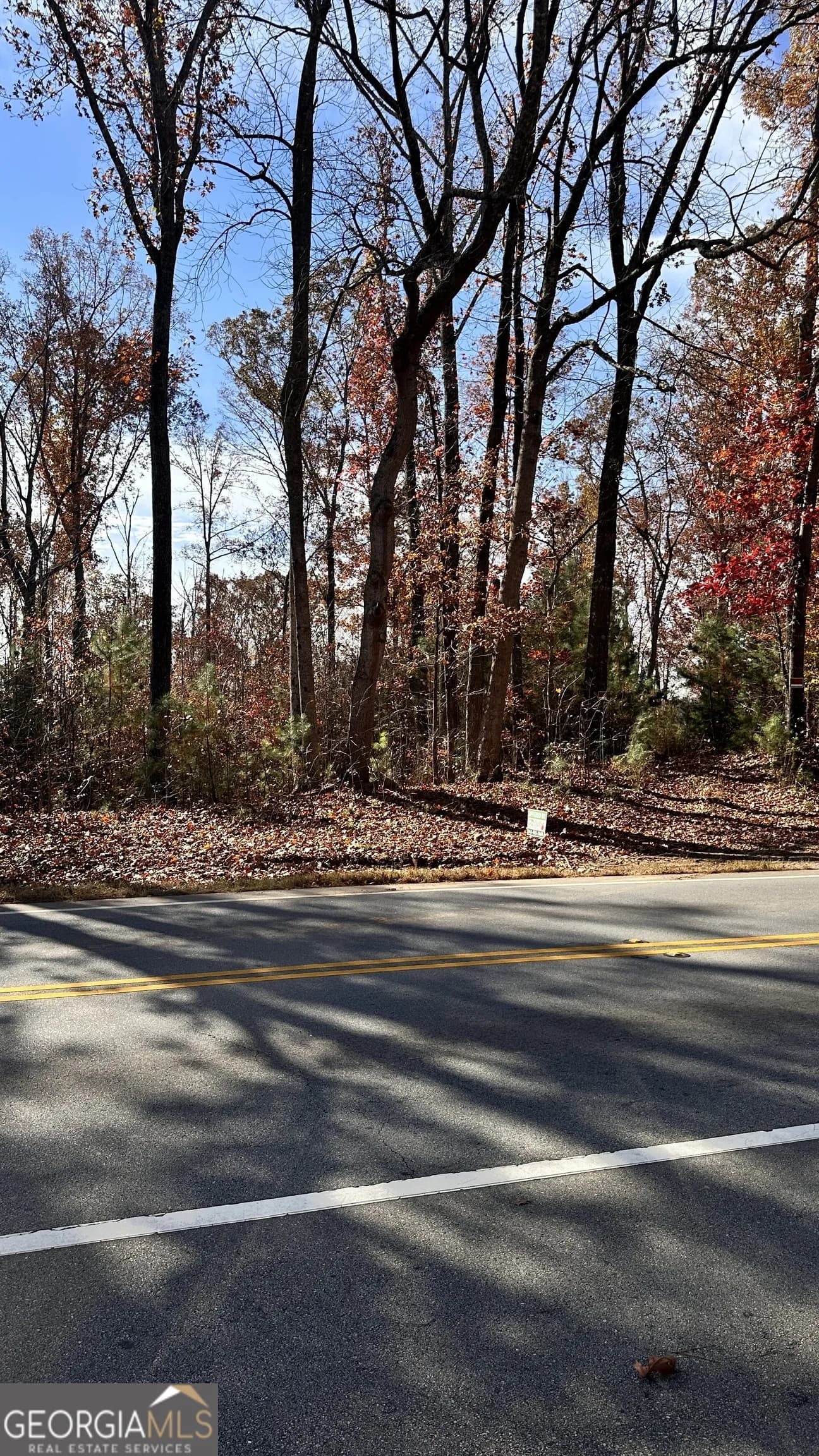 43 Acres Ivey Springs — photo 3 of 3