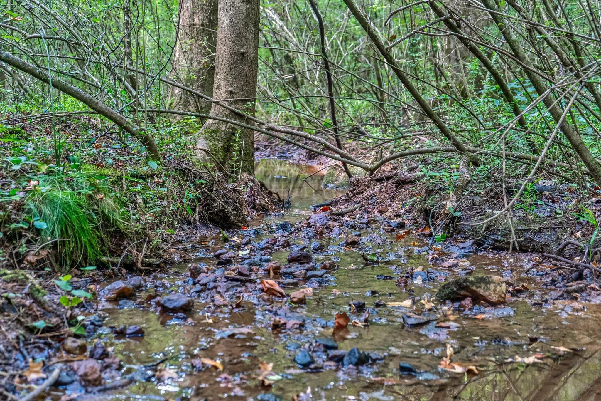 0 Borrow Pit Rd — photo 5 of 8