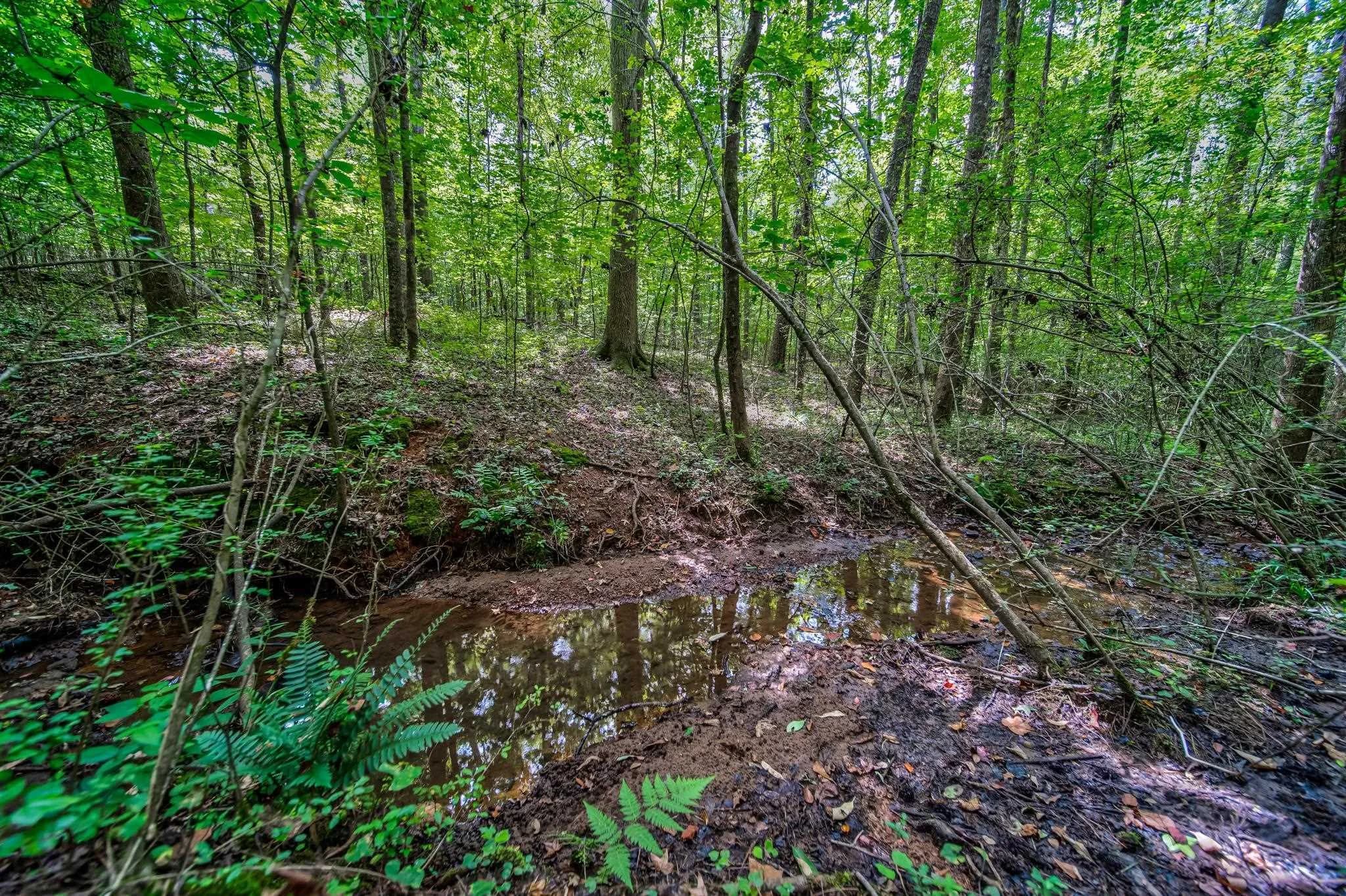 0 Borrow Pit Rd — photo 6 of 8