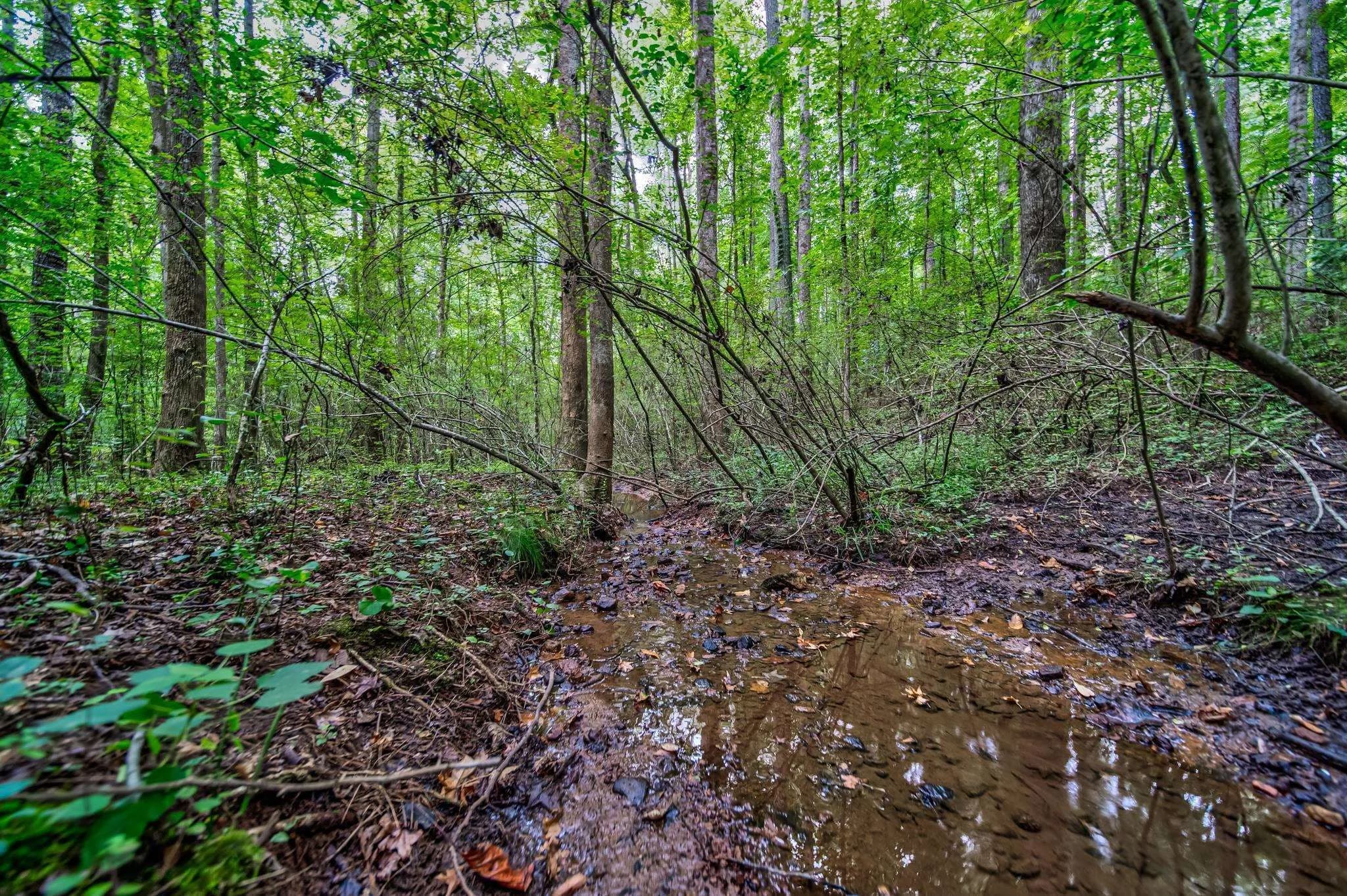 0 Borrow Pit Rd — photo 4 of 8