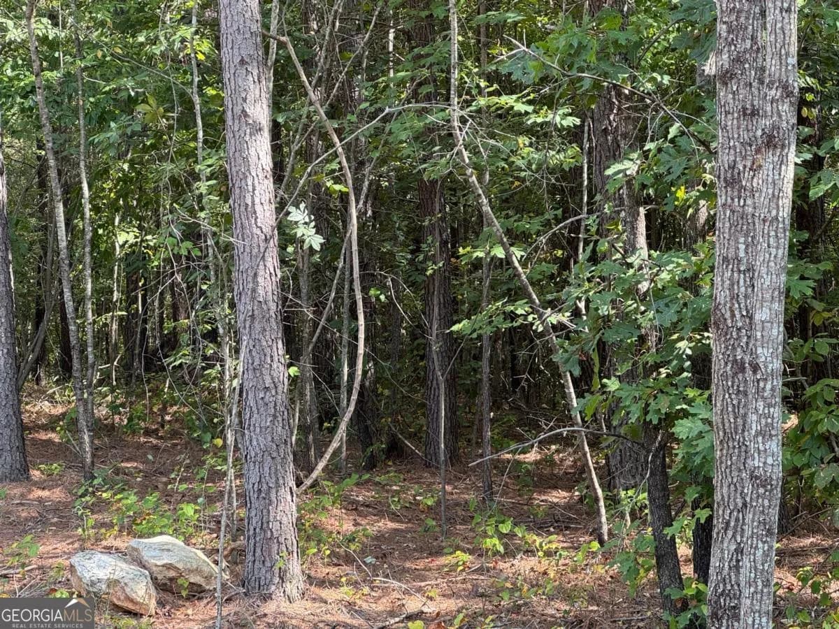 0 Lone Bear Path — photo 2 of 3