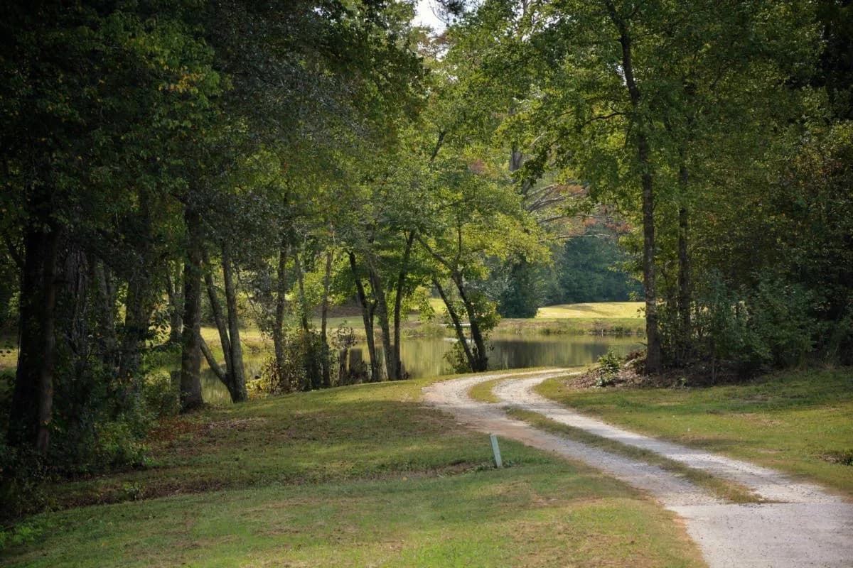 301 Spruill Bridge Rd — photo 69 of 73