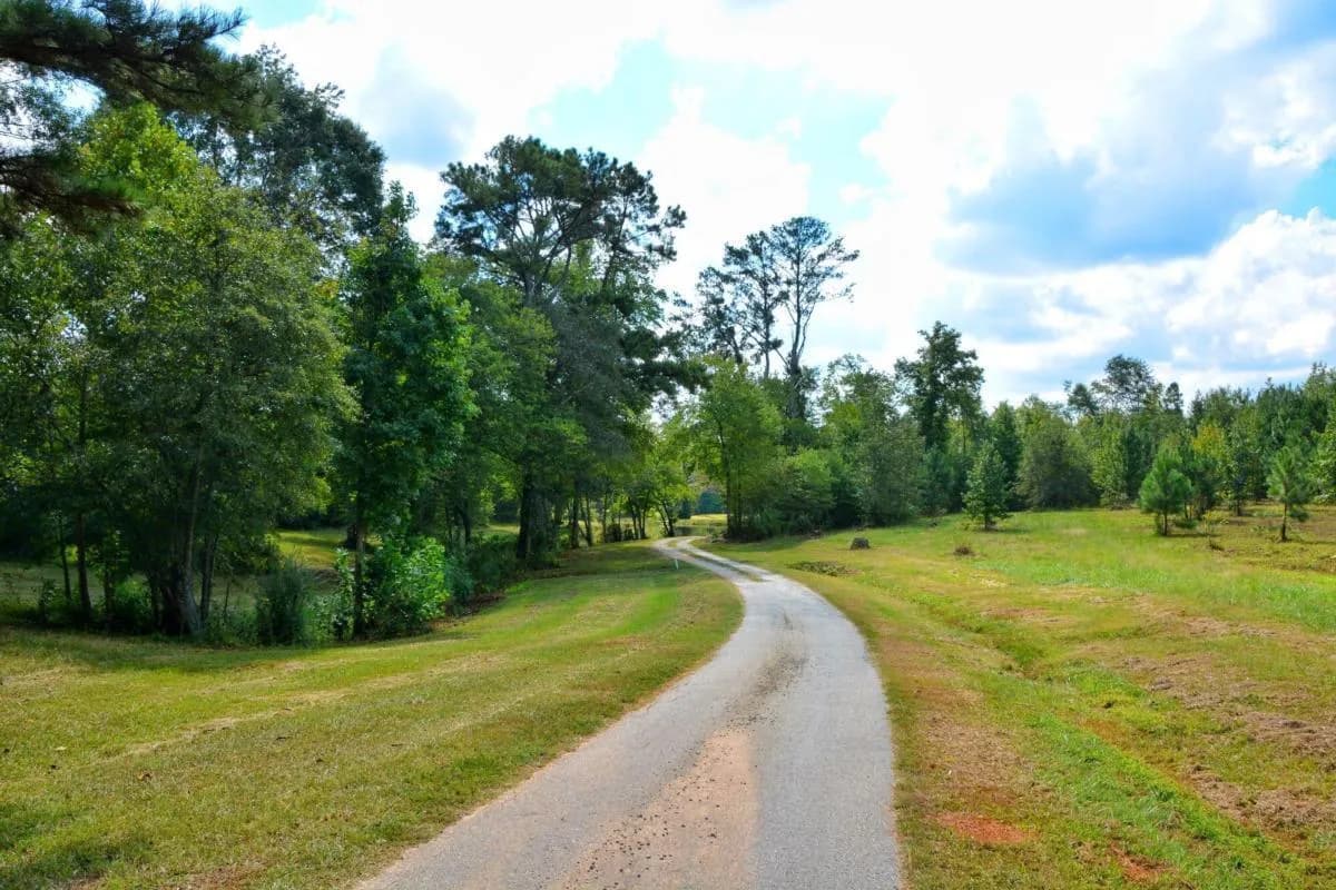 301 Spruill Bridge Rd — photo 67 of 73