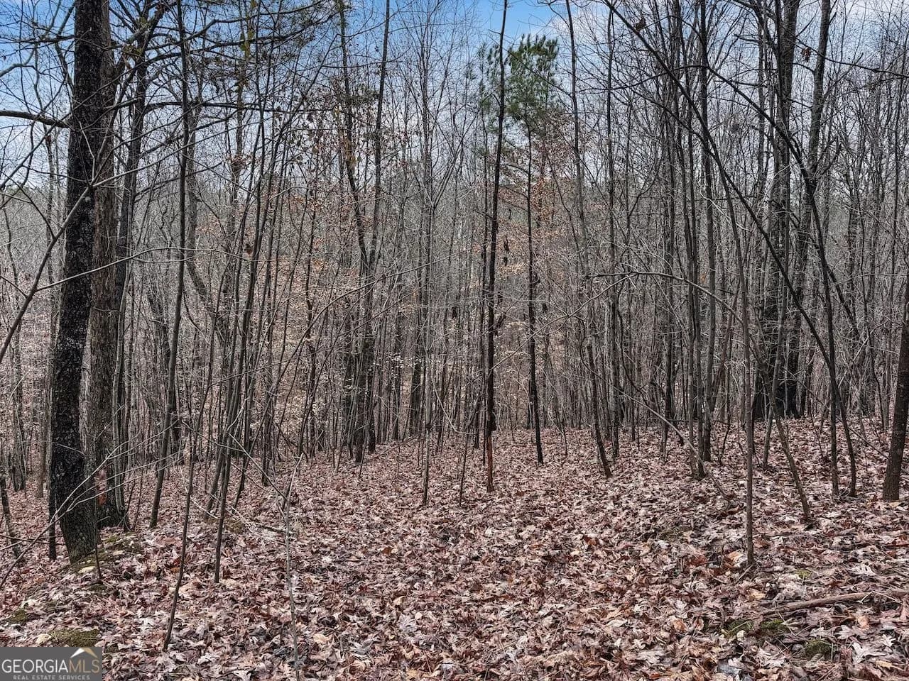 77 Observation Way — photo 10 of 11