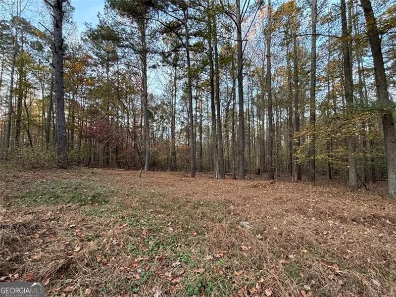 4926 Maroney Mill Rd — photo 27 of 29
