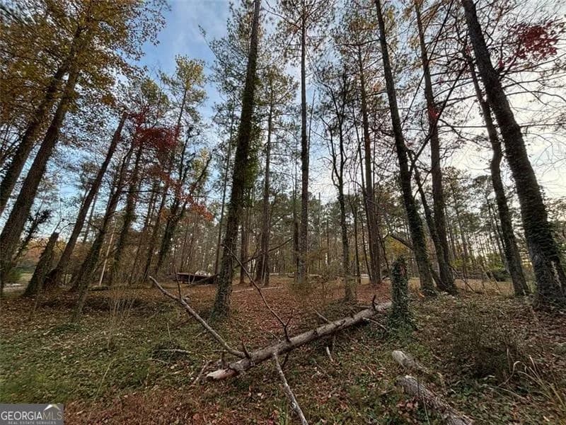 4926 Maroney Mill Rd — photo 16 of 29