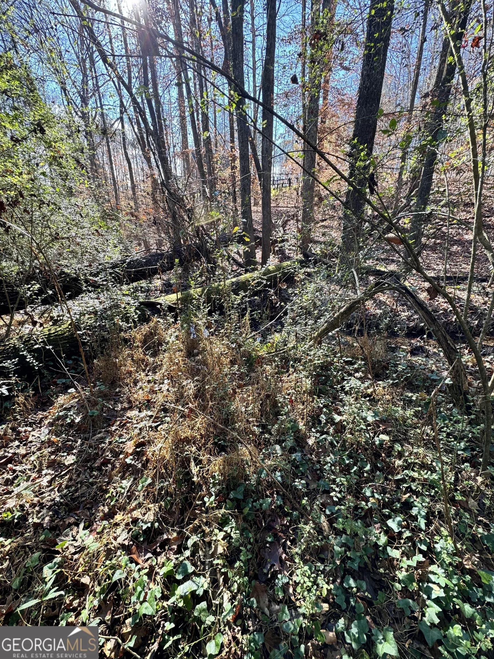 Lot 4 Miller St — photo 10 of 50