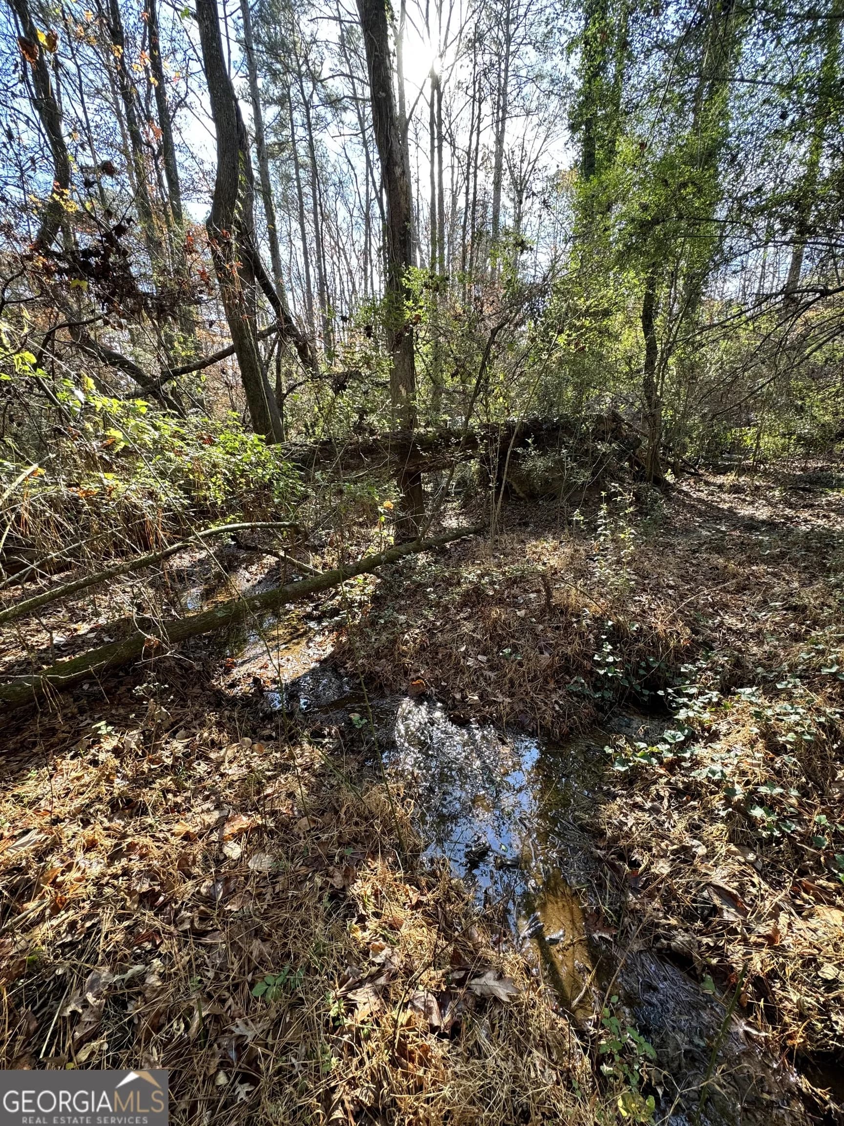Lot 4 Miller St — photo 4 of 50