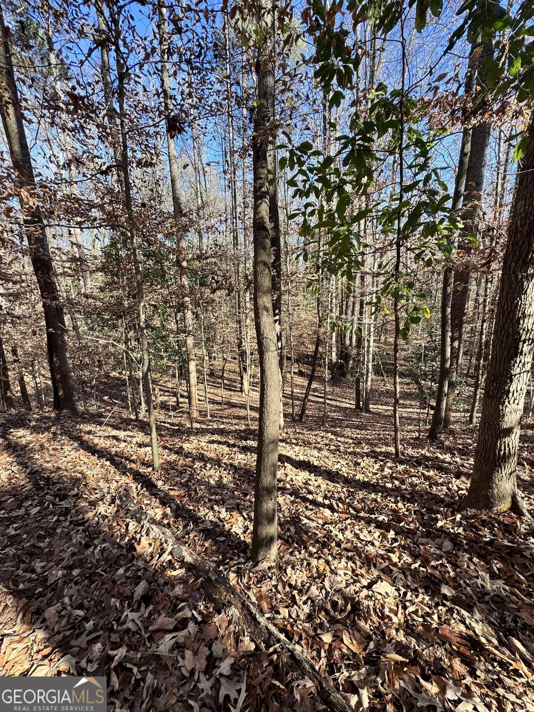Lot 4 Miller St — photo 27 of 50