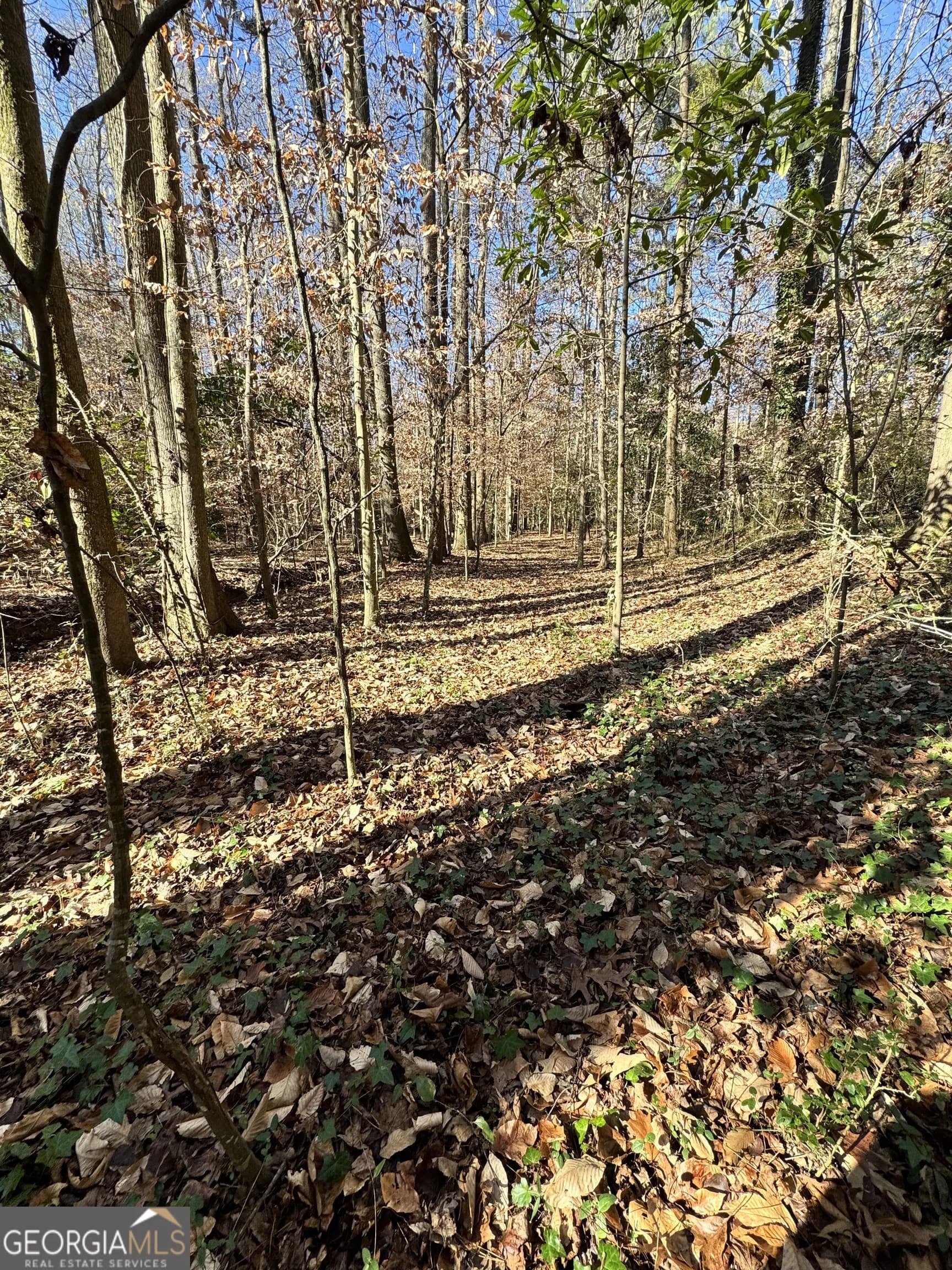 Lot 4 Miller St — photo 14 of 50