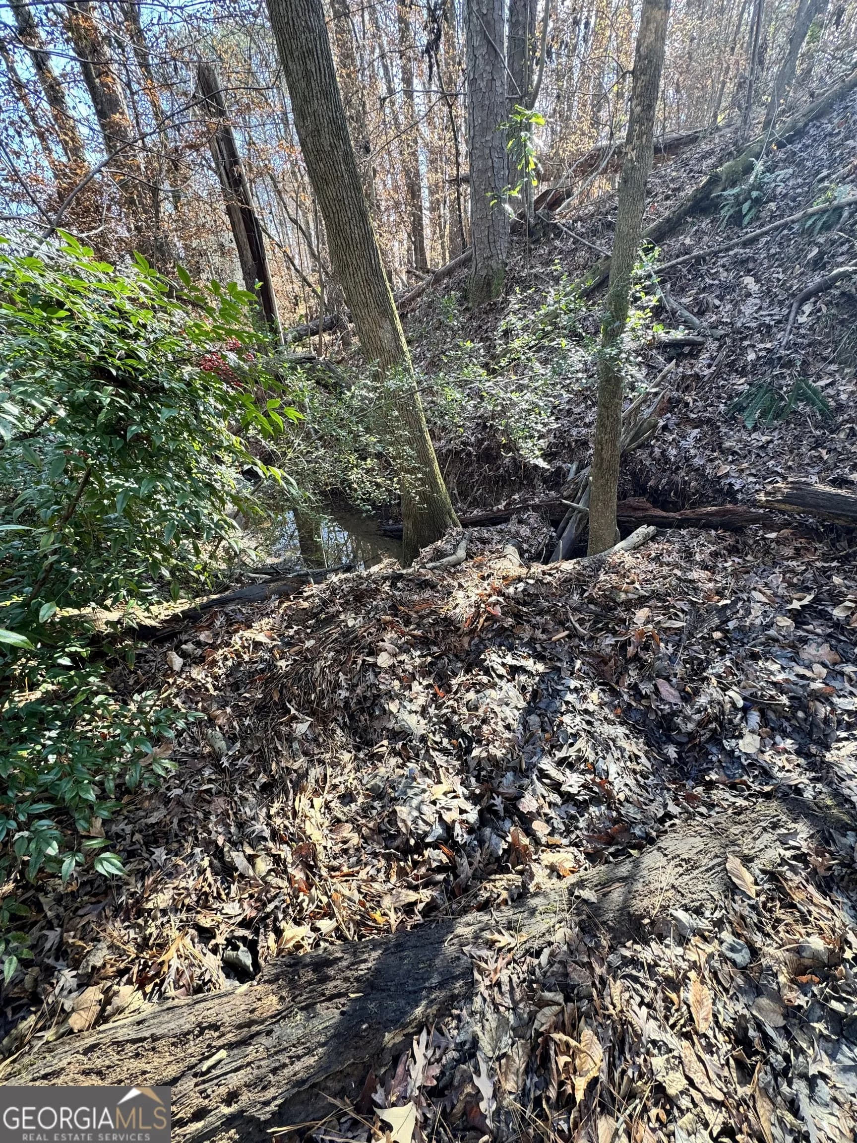 Lot 4 Miller St — photo 5 of 50