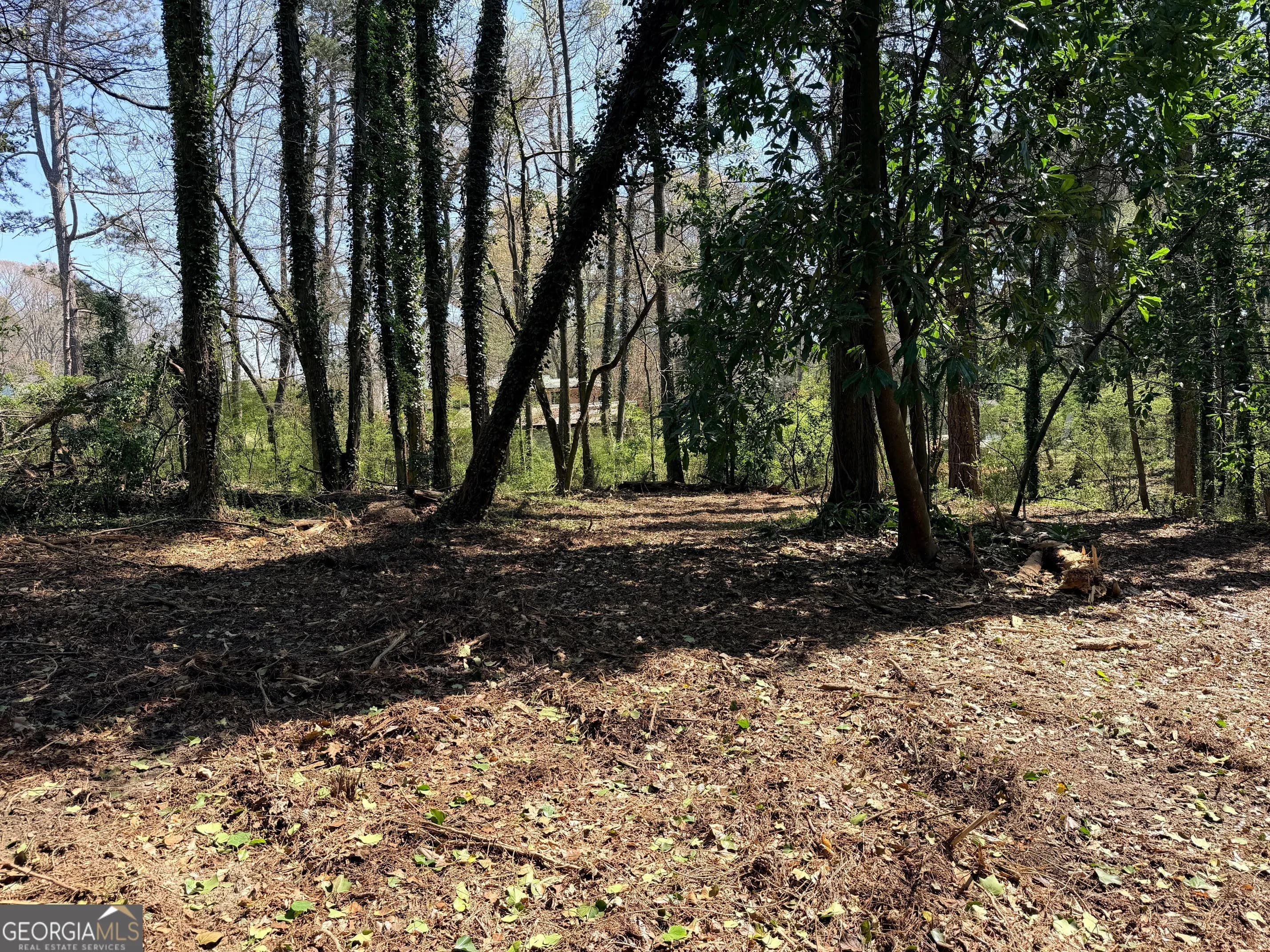 Lot 4 Miller St — photo 50 of 50