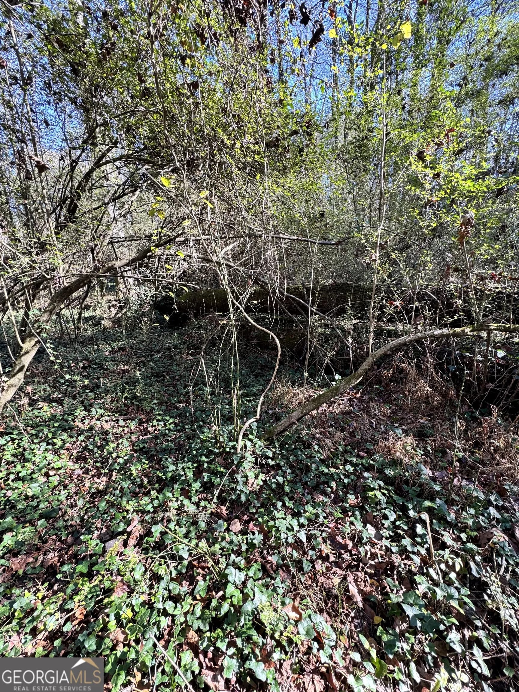 Lot 4 Miller St — photo 9 of 50