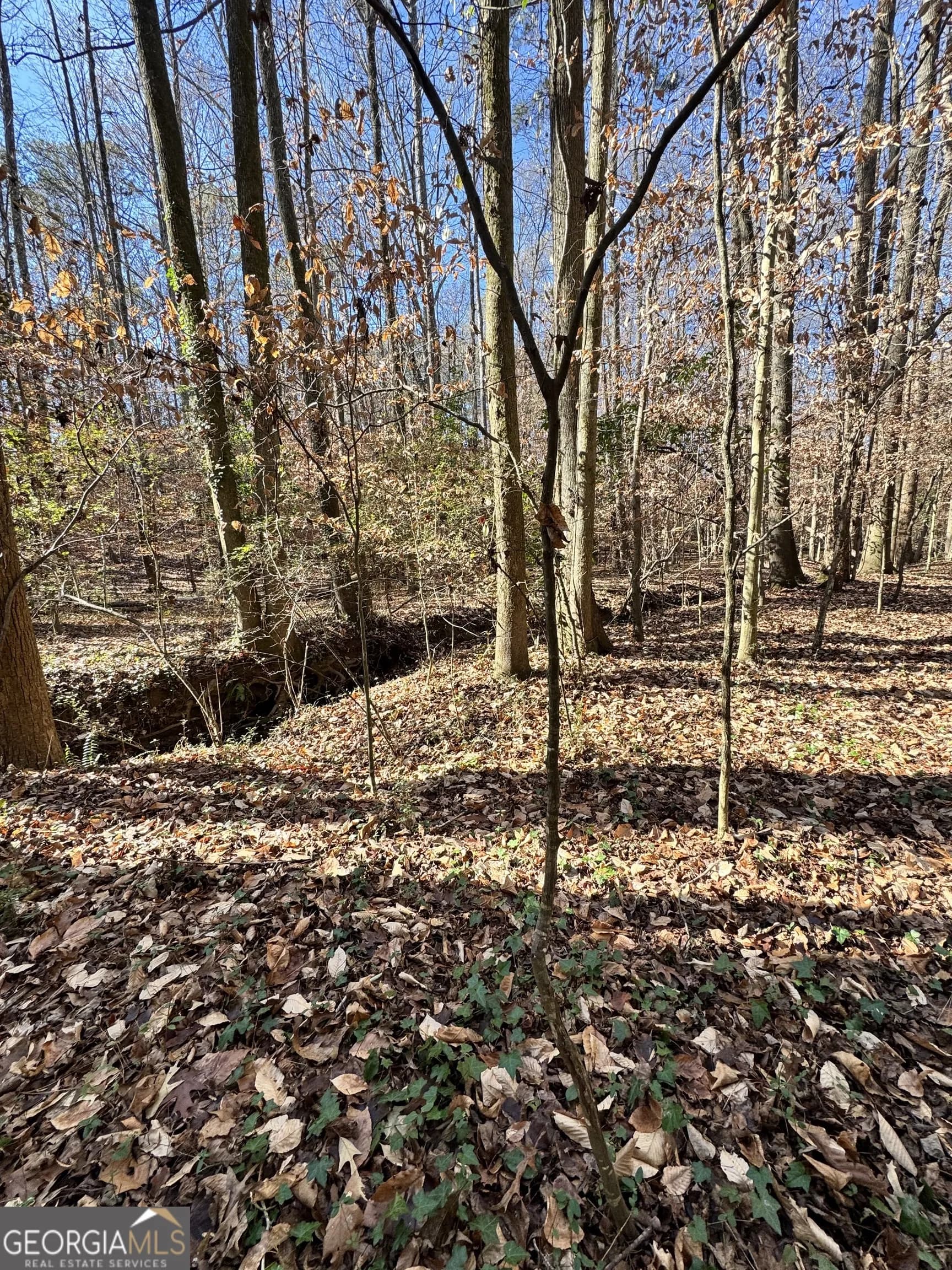 Lot 4 Miller St — photo 12 of 50