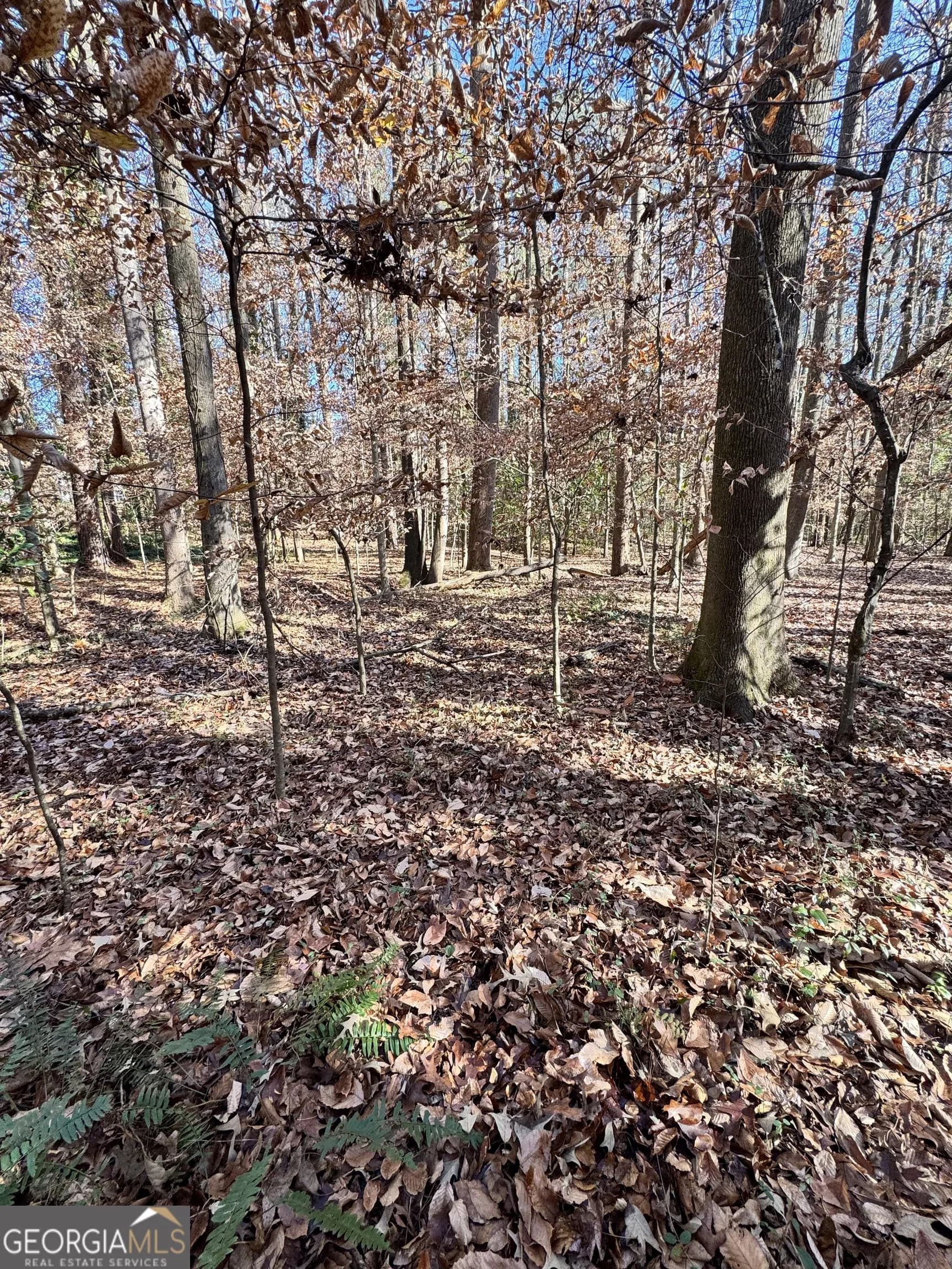 Lot 4 Miller St — photo 21 of 50