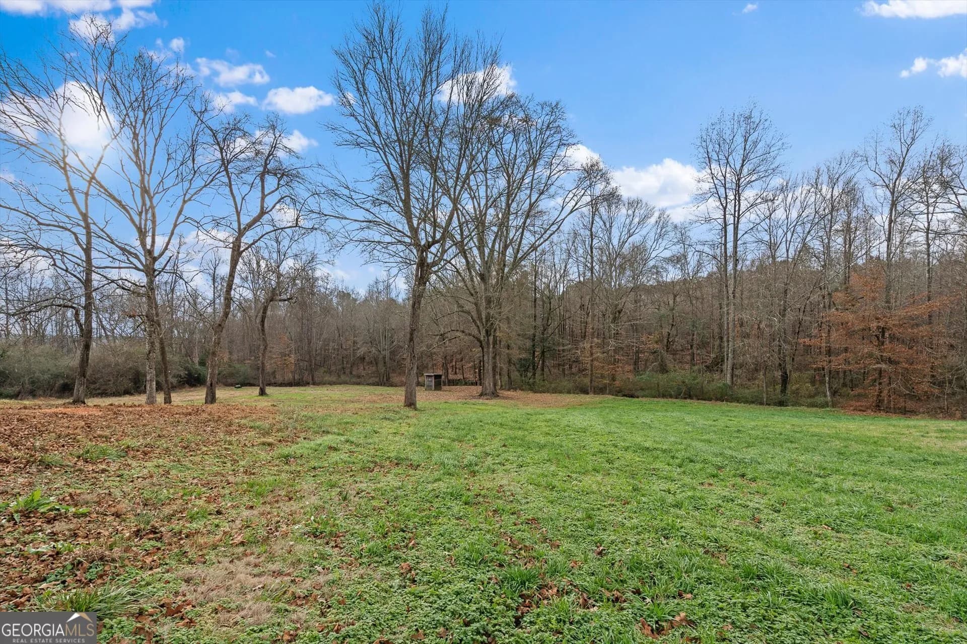 976 Salem Church Rd — photo 45 of 55