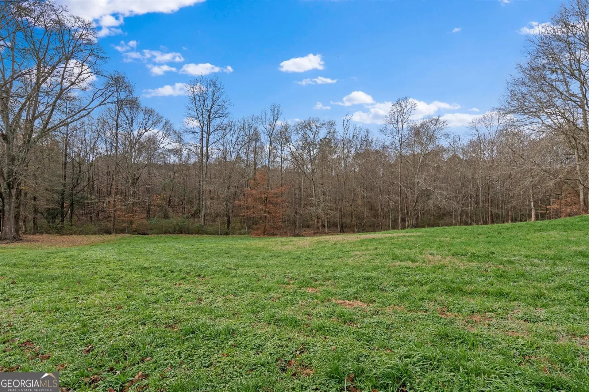 976 Salem Church Rd — photo 47 of 55