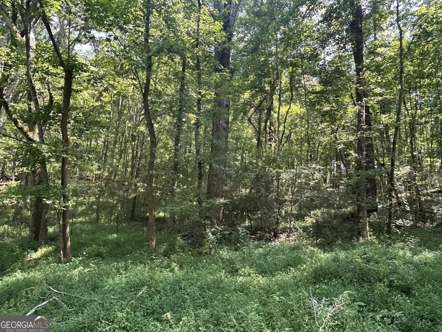 0 Attaway Road-9.22 — photo 11 of 24