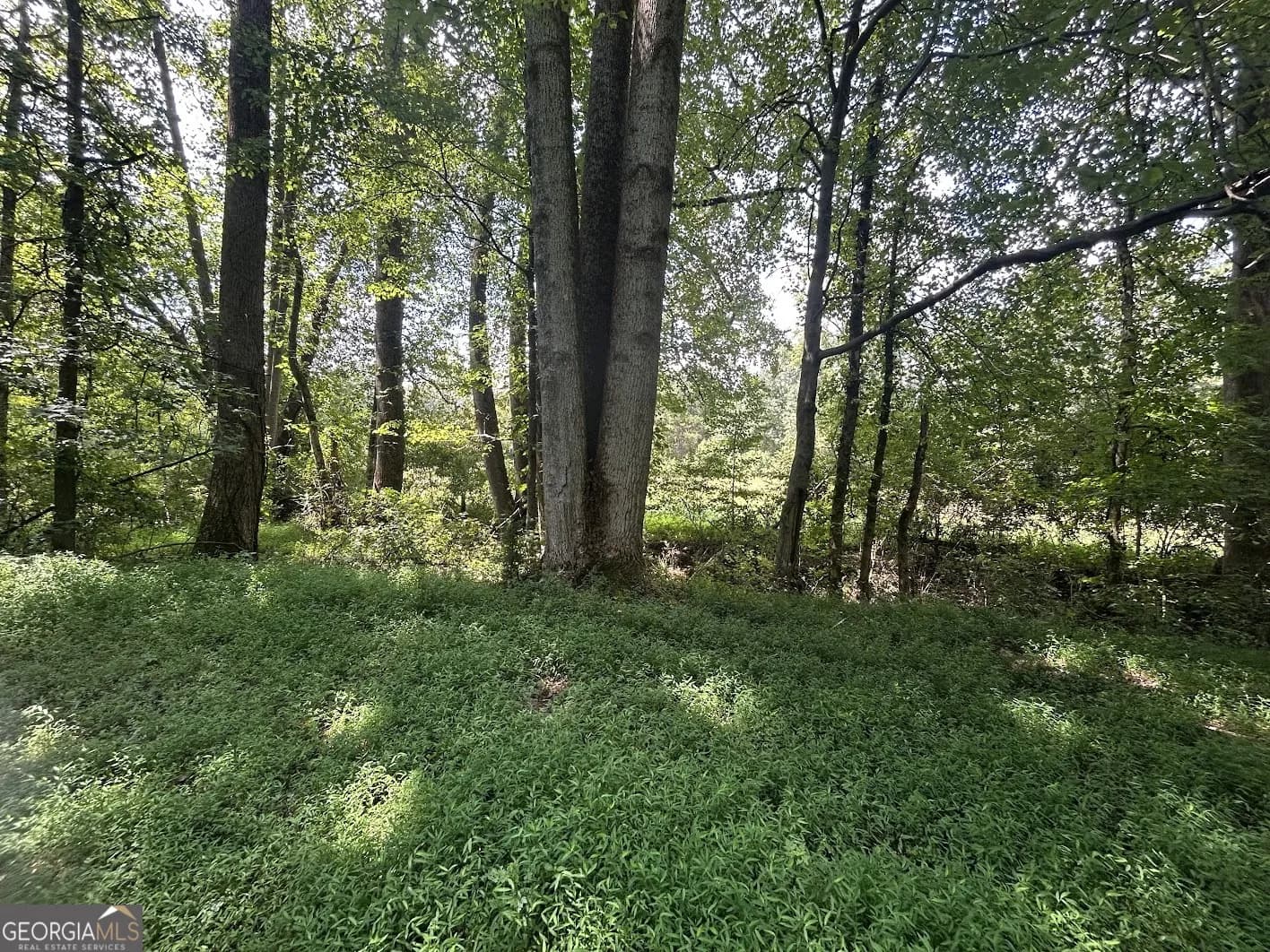 0 Attaway Road-9.22 — photo 3 of 24