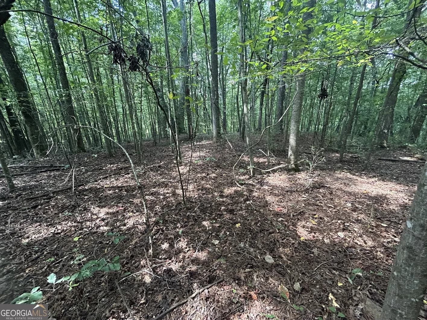 0 Attaway Road-9.22 — photo 4 of 24