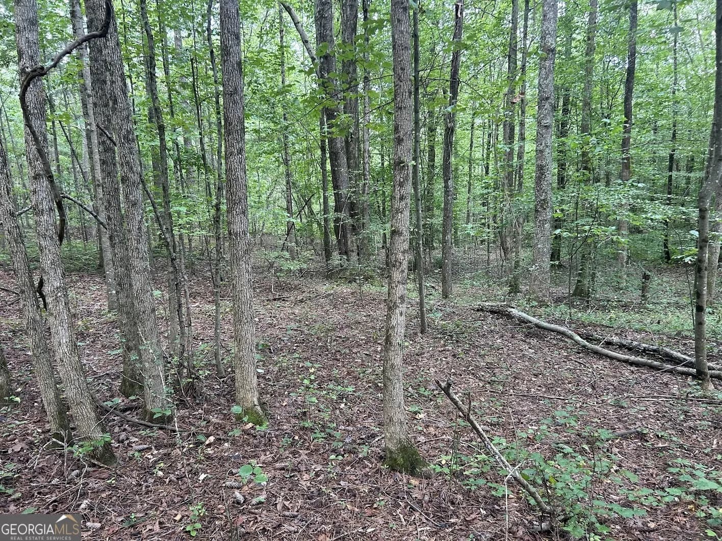 0 Attaway Road-9.22 — photo 15 of 24