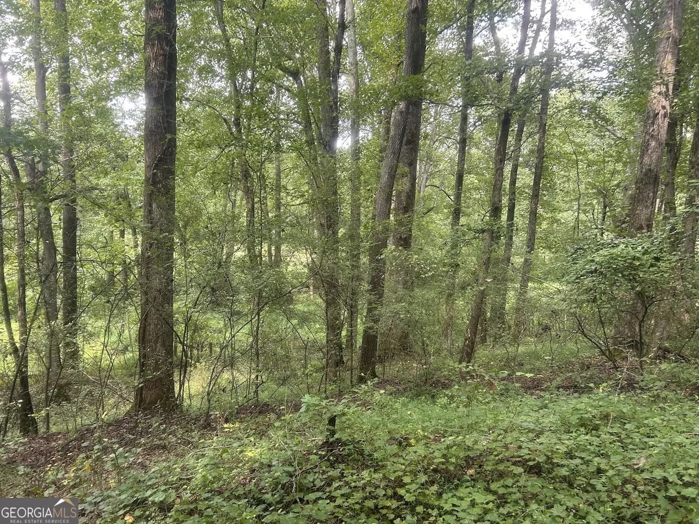 0 Attaway Road-9.22 — photo 17 of 24