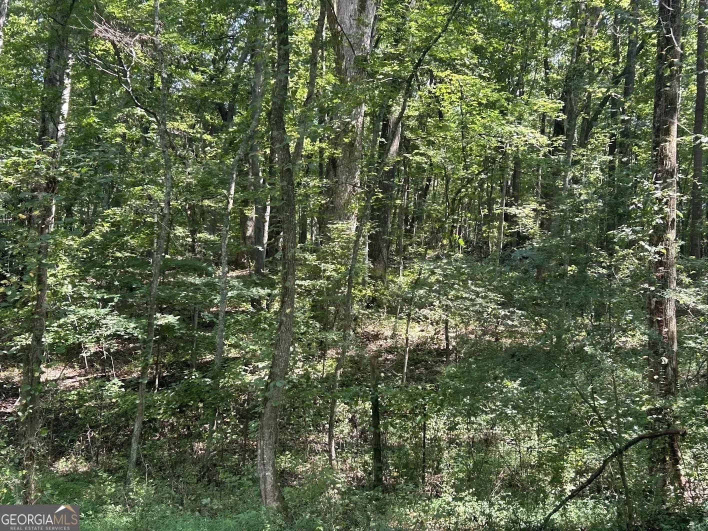0 Attaway Road-9.22 — photo 12 of 24