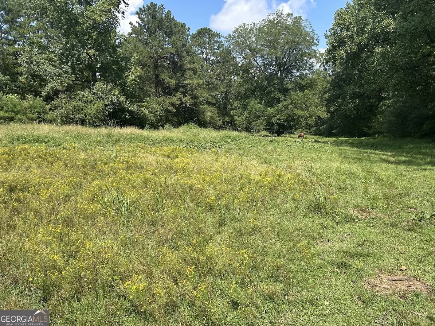 0 Attaway Road-9.22 — photo 20 of 24